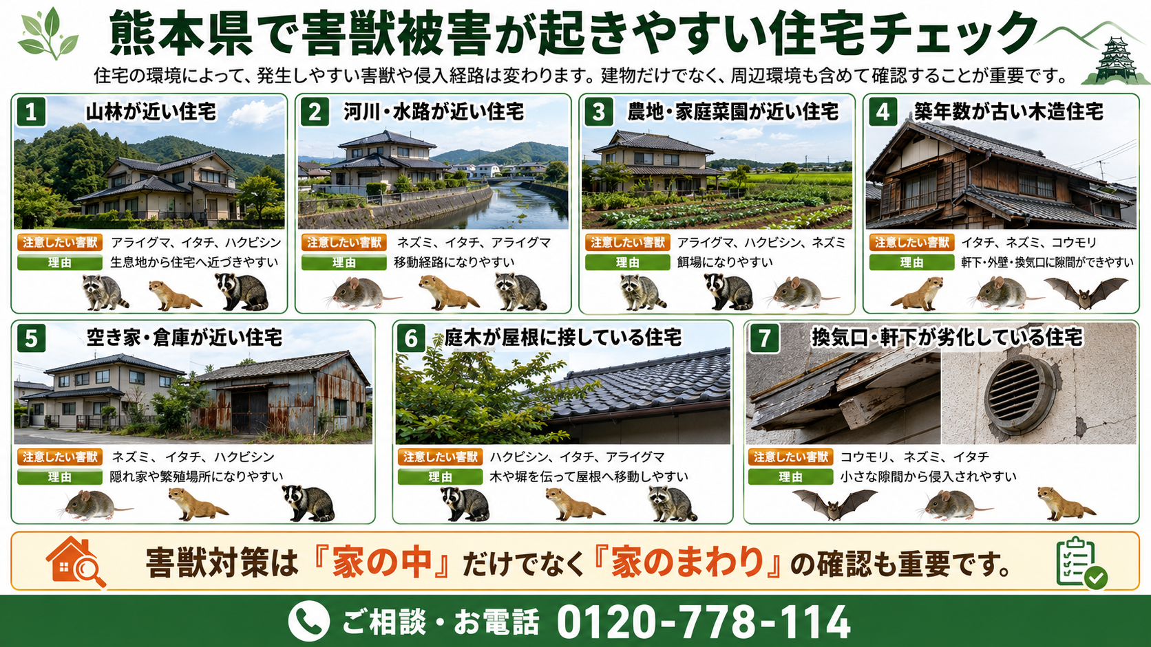 熊本県の害獣被害が起きやすい住宅チェック|アライグマ・イタチ・ハクビシン・ネズミ・コウモリの侵入リスクを解説