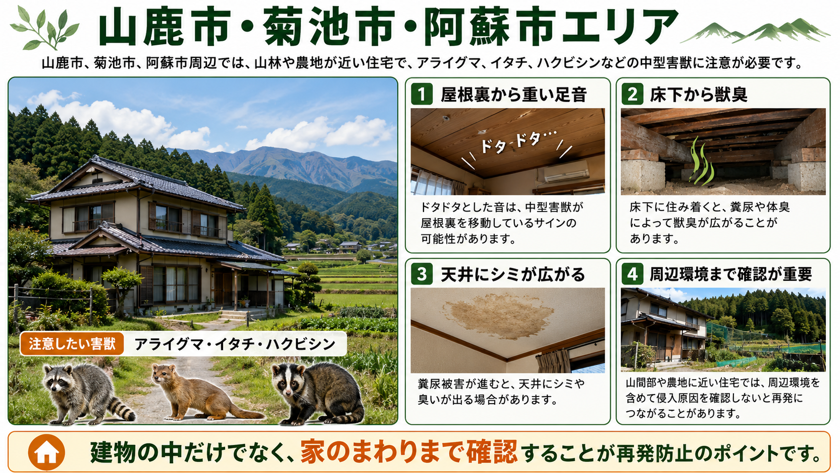 山鹿市・菊池市・阿蘇市周辺でアライグマ・イタチ・ハクビシンに注意が必要な住宅環境と被害サインを解説した画像