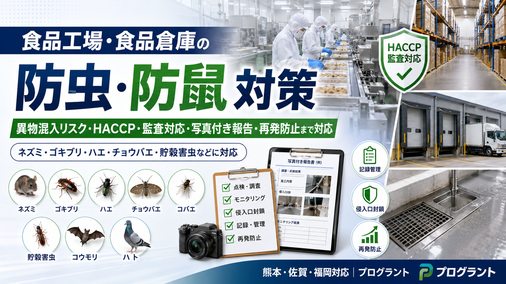 alt="食品工場・食品倉庫の防虫・防鼠対策。ネズミ・ゴキブリ・ハエ・チョウバエ・貯穀害虫の侵入対策、HACCP監査対応、写真付き報告、再発防止まで対応"