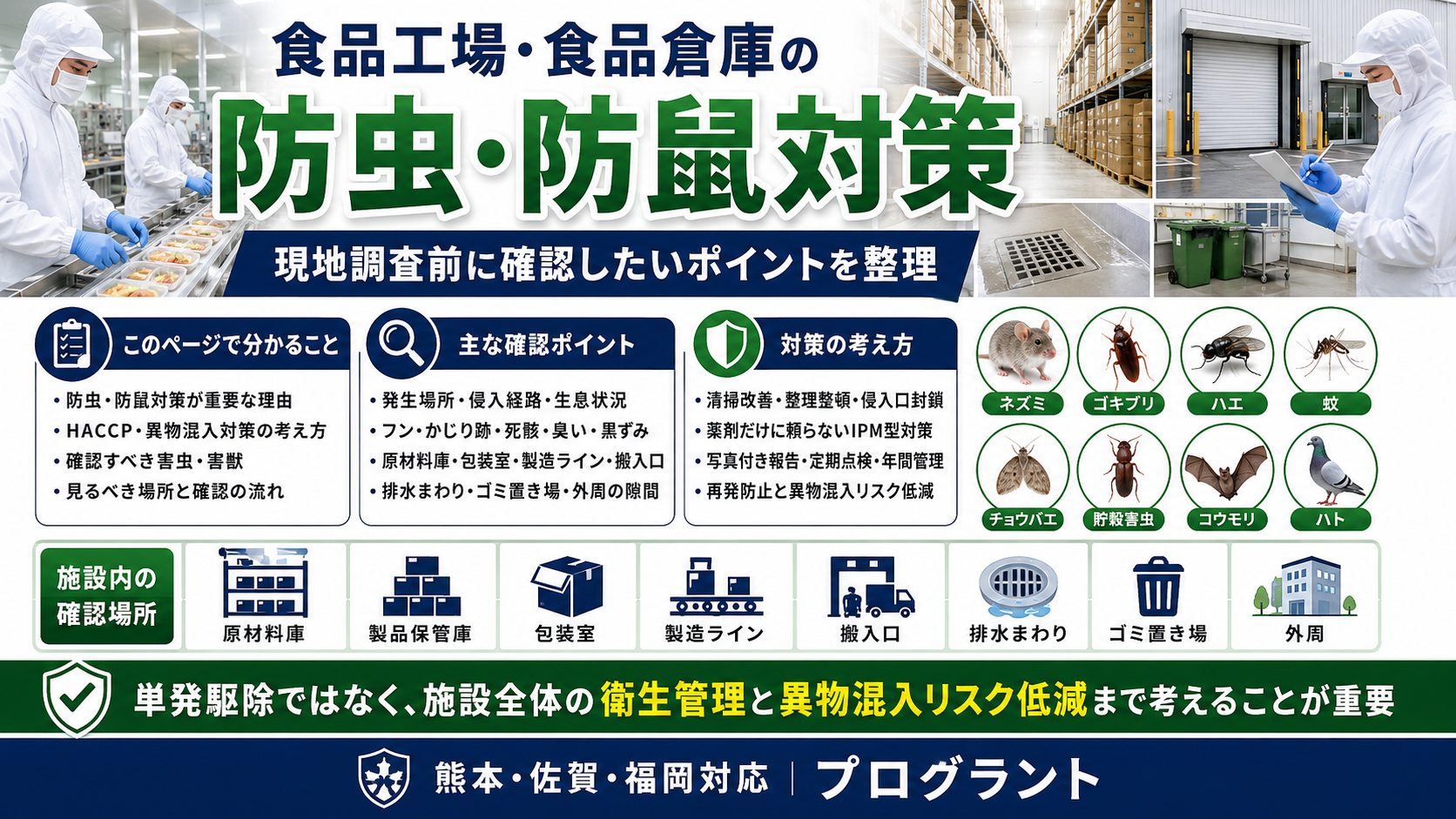 alt="食品工場・食品倉庫の防虫・防鼠対策。HACCP・異物混入対策、害虫・ネズミの発生場所や侵入経路、施設内の確認場所、写真付き報告、再発防止まで解説"
