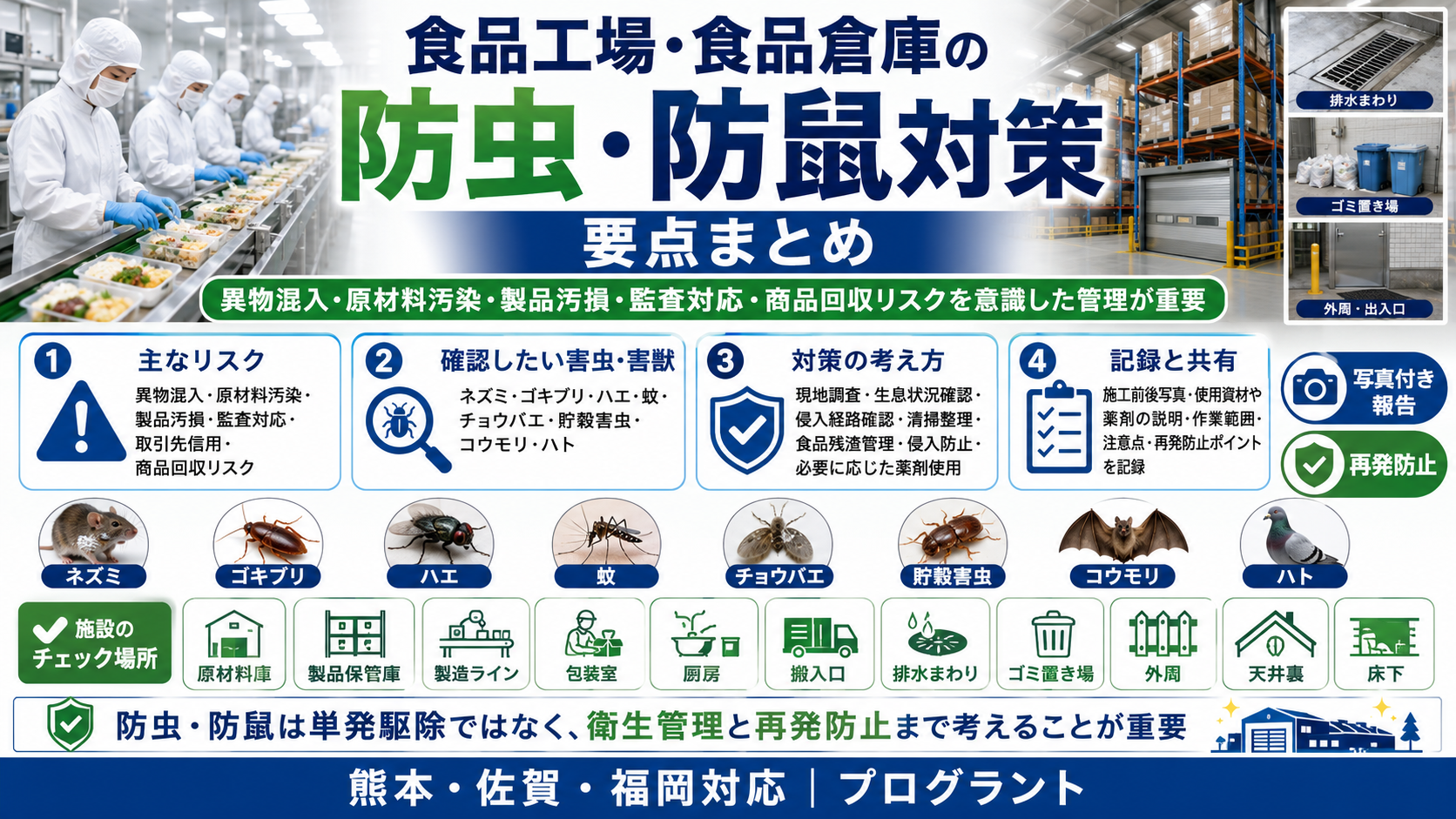 alt="食品工場・食品倉庫の防虫・防鼠対策。HACCP・異物混入対策、害虫・ネズミの発生場所や侵入経路、施設内の確認場所、写真付き報告、再発防止まで解説"