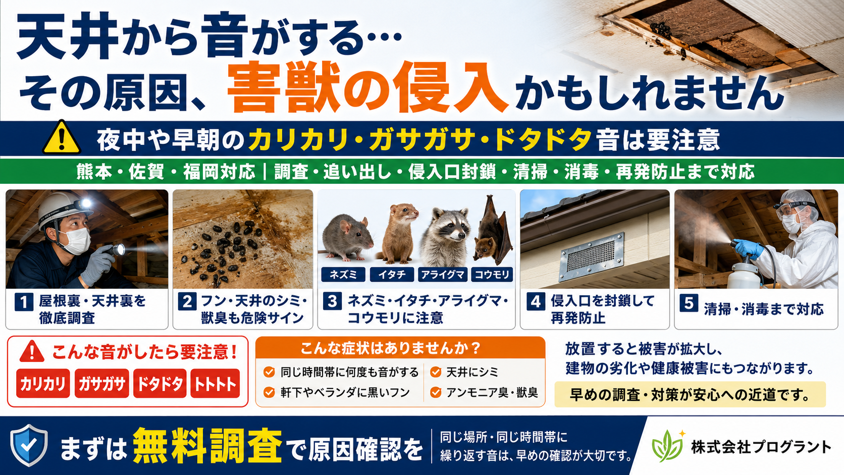 天井から音がする原因として害獣侵入の可能性を解説するサムネイル。夜中や早朝のカリカリ・ガサガサ・ドタドタ音、天井のシミ、黒いフン、アンモニア臭や獣臭などの注意サインを示し、ネズミ・イタチ・アライグマ・コウモリなどの侵入リスクと、屋根裏・天井裏の調査、侵入口封鎖、清掃、消毒、再発防止まで対応する株式会社プログラントの無料調査案内。