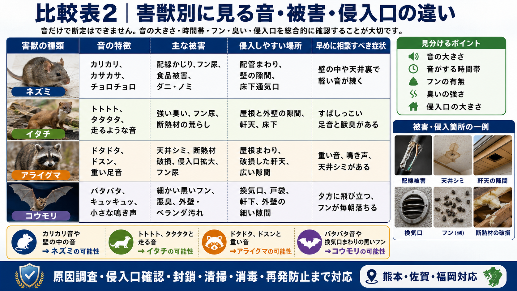 上記写真のALT画像のタグをお願いします