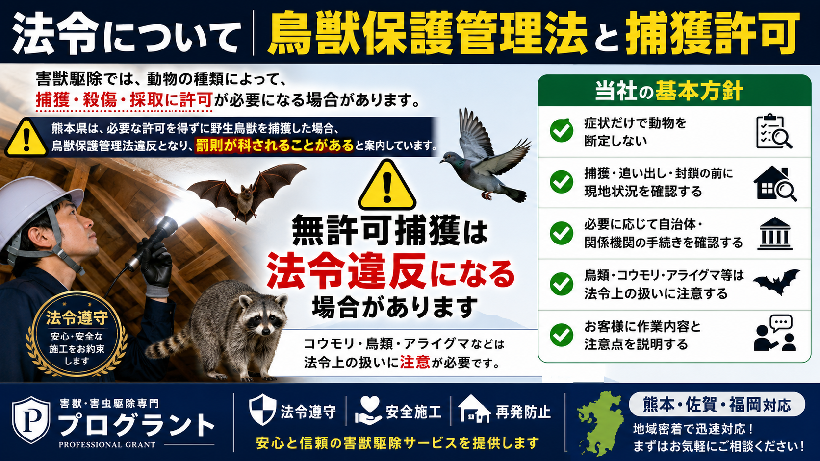 鳥獣保護管理法と捕獲許可の確認が必要な害獣駆除について解説した16対9のサムネイル画像。コウモリ・鳥類・アライグマなどは無許可で捕獲・殺傷・採取できない場合があり、現地調査、自治体・関係機関への確認、作業内容の事前説明、法令遵守の重要性を伝えている。