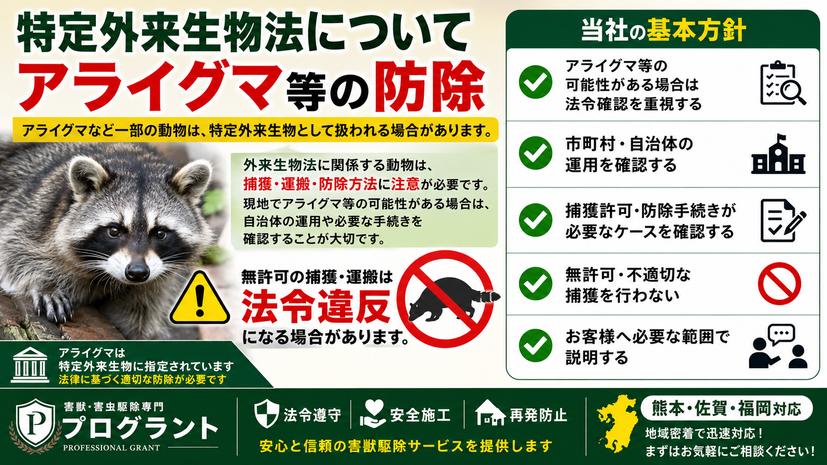 特定外来生物法とアライグマ等の防除について解説した16対9のサムネイル画像。アライグマなど一部の動物は特定外来生物として扱われる場合があり、捕獲・運搬・防除方法、自治体の運用確認、捕獲許可や防除手続き、無許可・不適切な捕獲を避ける重要性を伝えている。