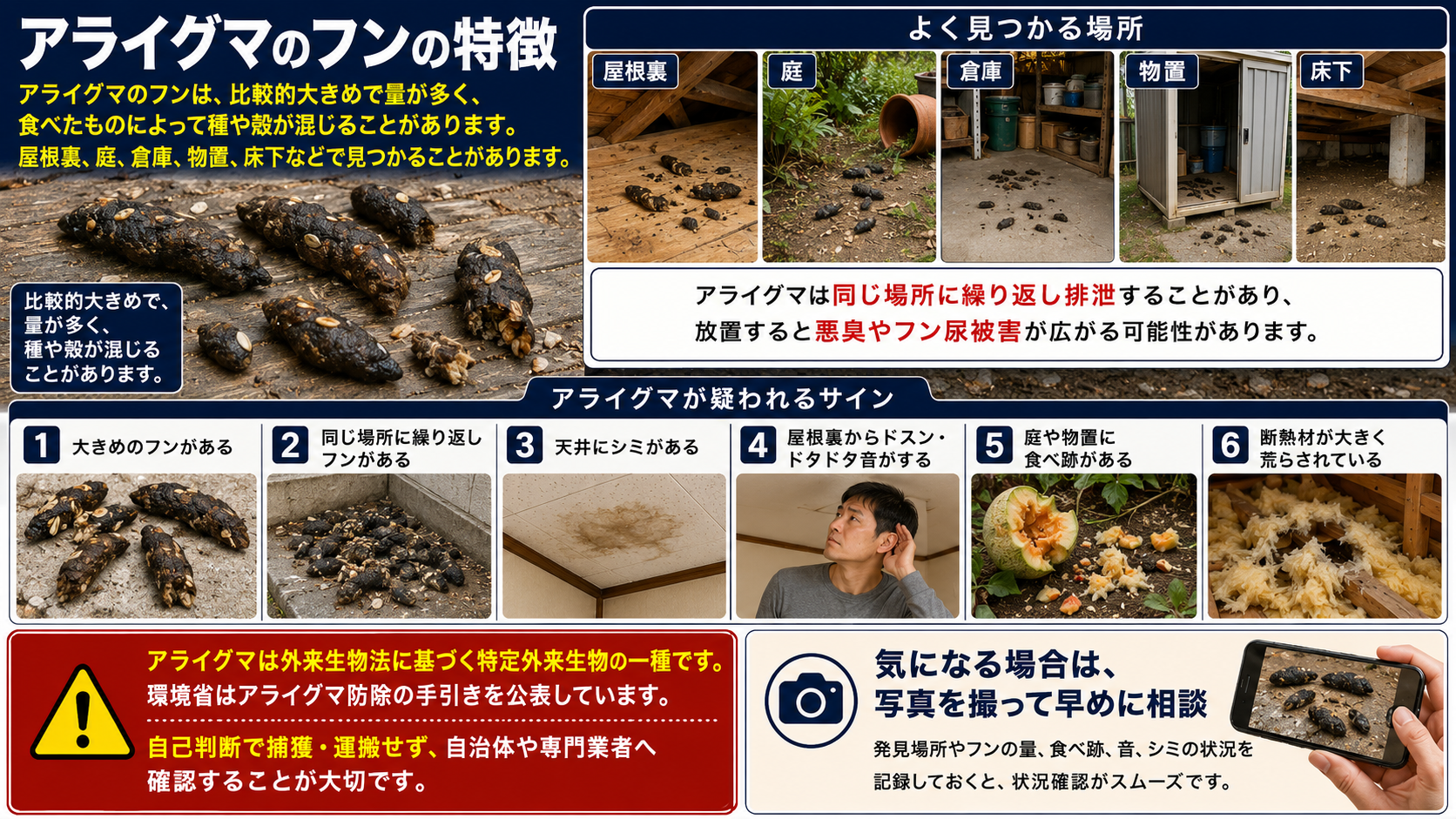 アライグマのフンの特徴を写真付きで解説したインフォグラフィック。比較的大きく量が多く、種や殻が混じることがあるフンの特徴、屋根裏・庭・倉庫・物置・床下などの発見場所、同じ場所への繰り返し排泄、天井シミ、屋根裏の物音、食べ跡、断熱材の荒れなどアライグマが疑われるサインと、自己判断で捕獲・運搬せず早めに相談する重要性をまとめた害獣対策画像。