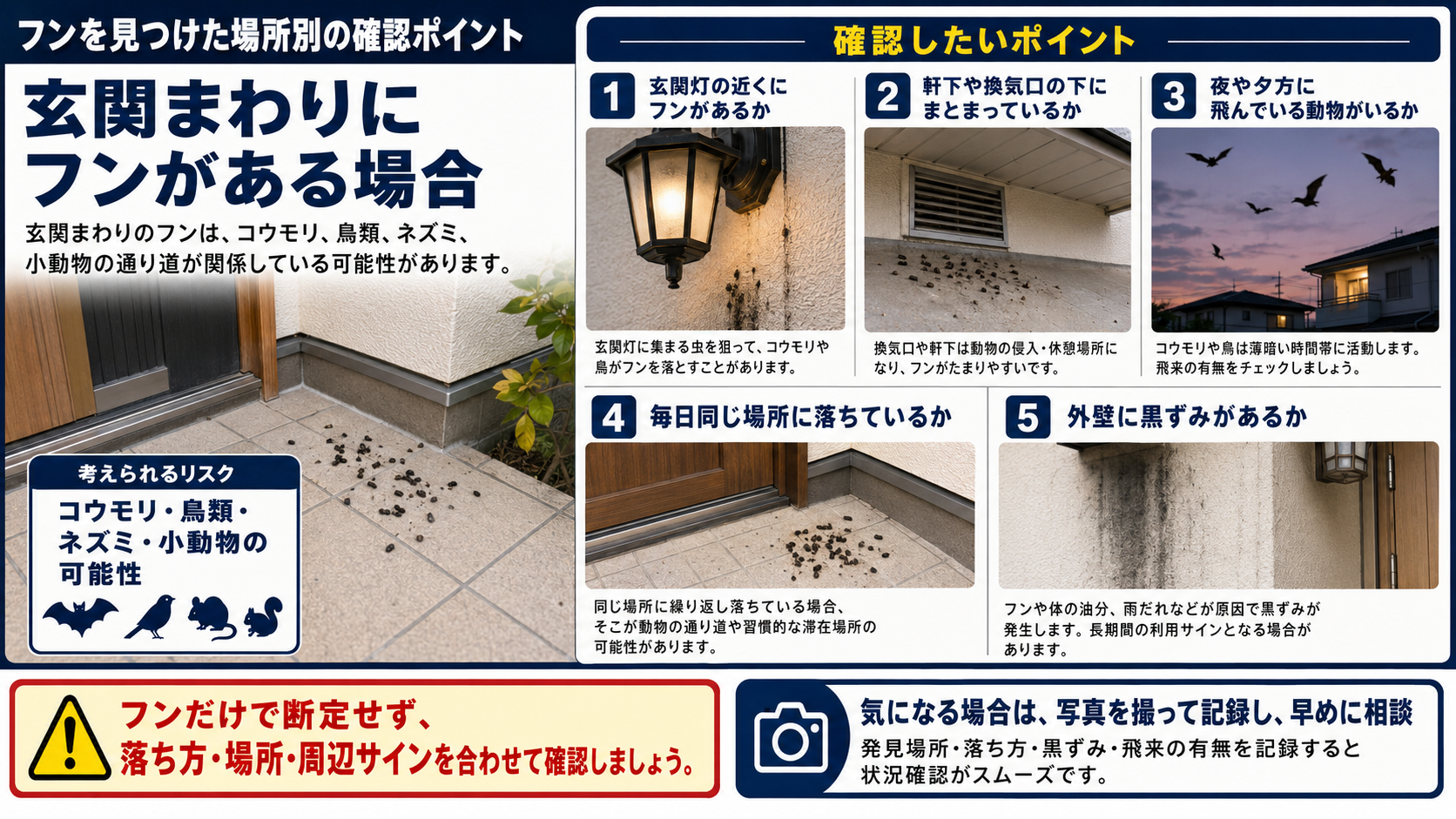 玄関まわりに動物のフンがある場合の確認ポイントを写真付きで解説したインフォグラフィック。コウモリ・鳥類・ネズミ・小動物の可能性をふまえ、玄関灯の近く、軒下や換気口の下、夜や夕方の飛来、毎日同じ場所への落下、外壁の黒ずみなどを確認するポイントと早めの相談目安をまとめた害獣対策画像。