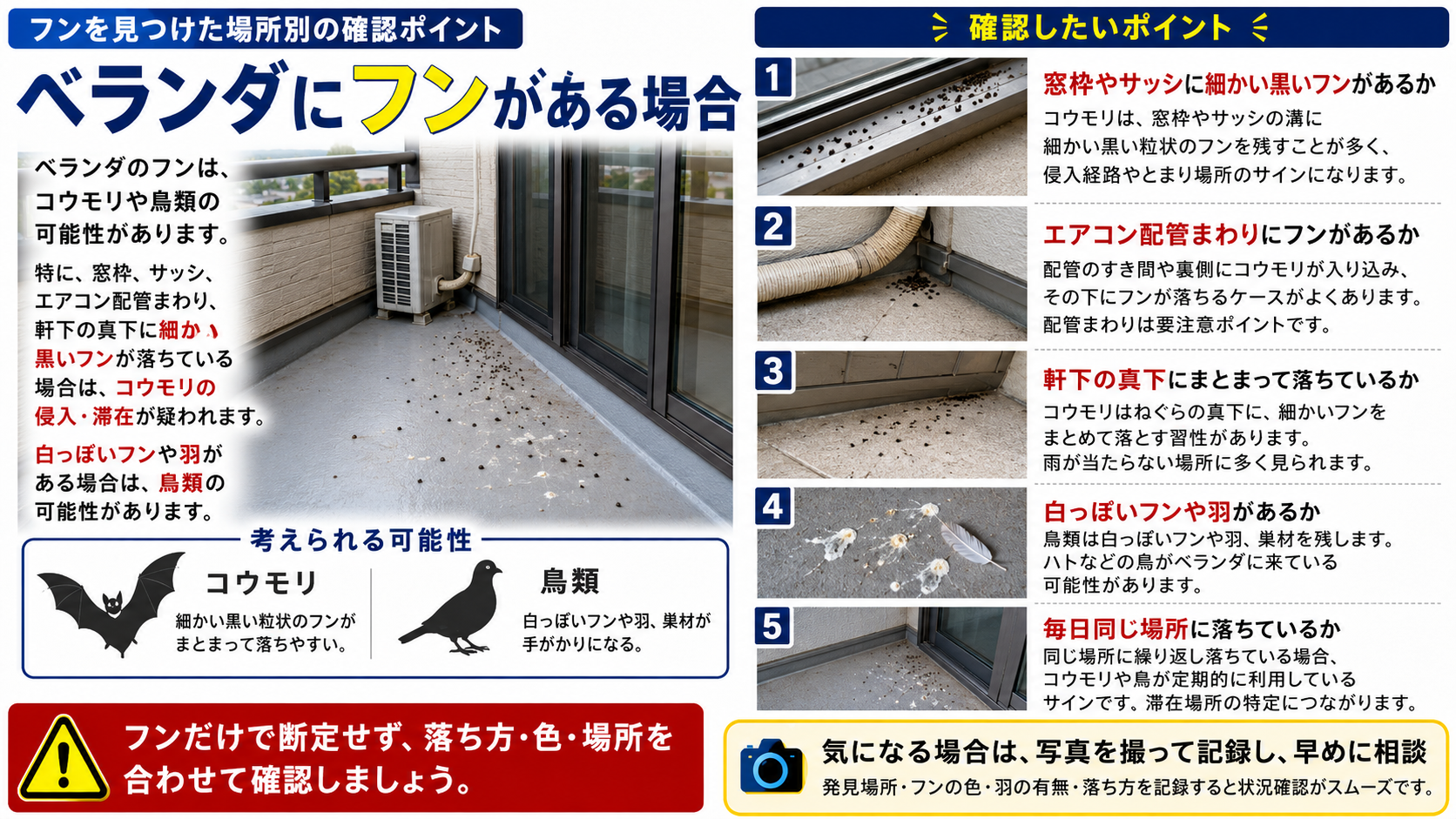 ベランダにフンがある場合の確認ポイントを写真付きで解説したインフォグラフィック。コウモリや鳥類の可能性を踏まえ、窓枠・サッシ・エアコン配管まわり・軒下の真下に落ちる細かい黒いフン、白っぽいフンや羽の有無、同じ場所への繰り返し落下などを分かりやすくまとめた害獣・害鳥対策画像。