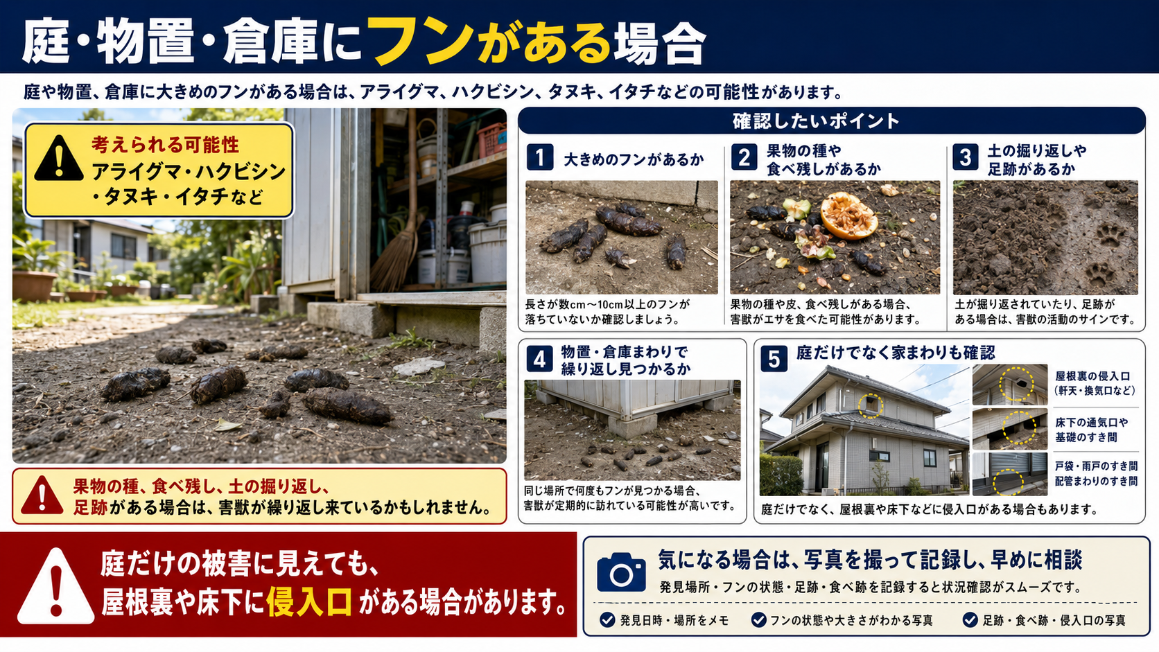 庭・物置・倉庫にフンがある場合の確認ポイントを写真付きで解説したインフォグラフィック。アライグマ・ハクビシン・タヌキ・イタチなどの可能性、大きめのフン、果物の種や食べ残し、土の掘り返し、足跡、家まわりの侵入口確認まで分かる害獣被害対策画像。