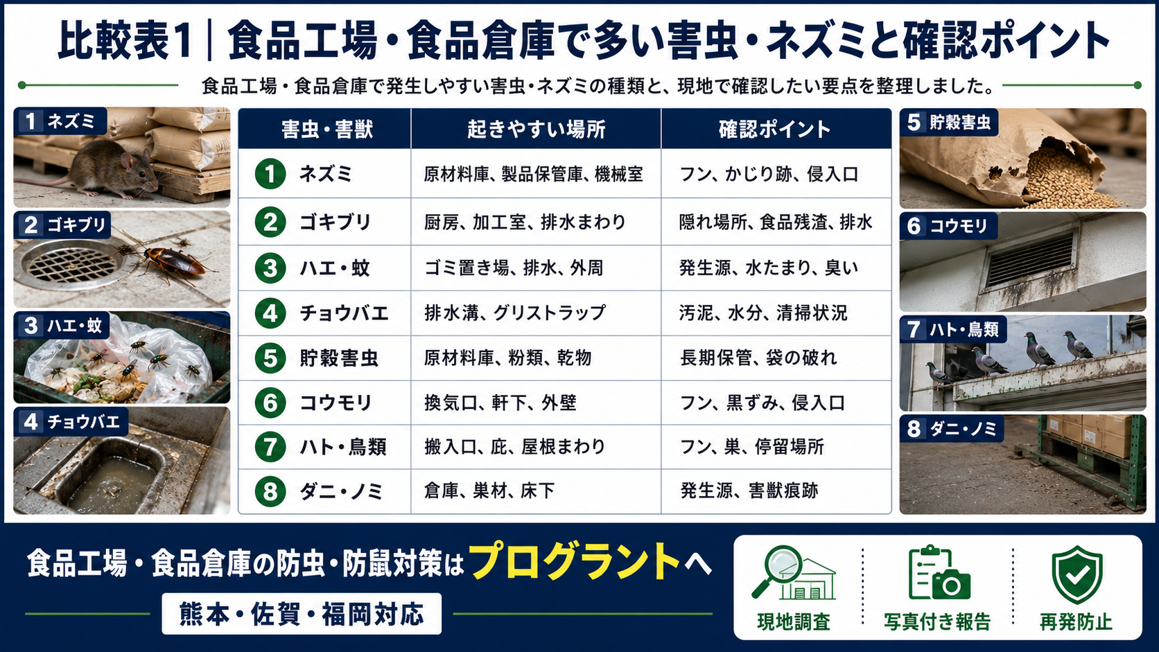 alt="熊本・佐賀・福岡の食品工場・食品倉庫向けに、ネズミ・ゴキブリ・ハエ・チョウバエ・貯穀害虫・コウモリ・ハトの確認ポイントを比較表で解説する画像"