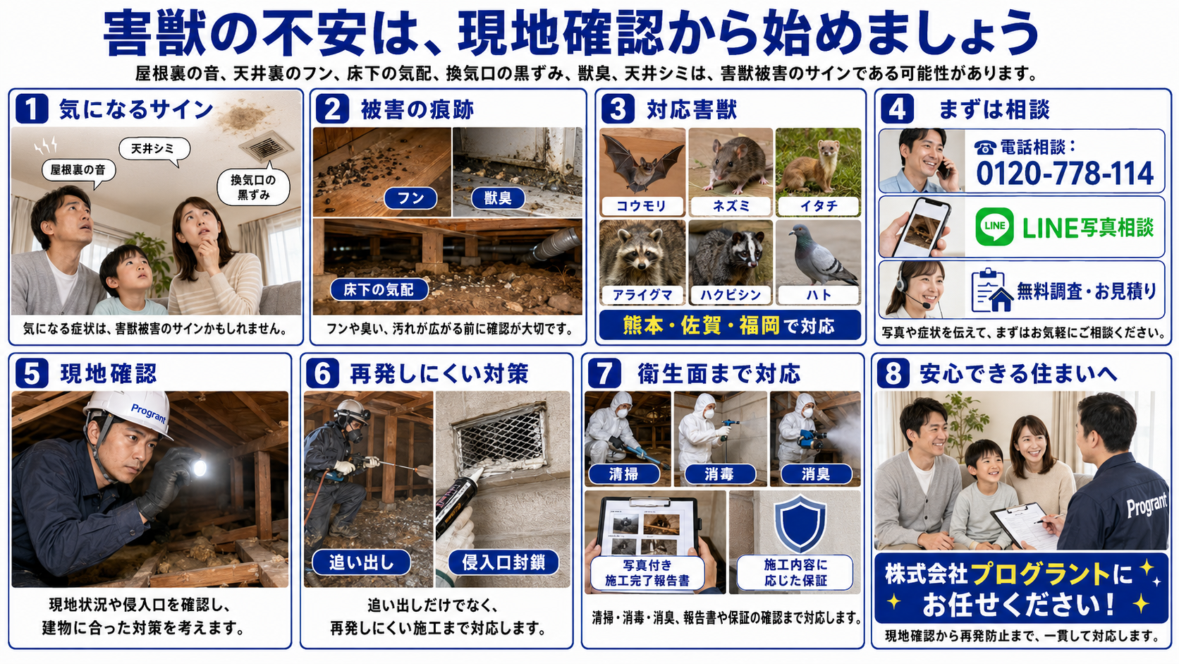 害獣の不安は現地確認から始めることを8コマ漫画で解説した画像。屋根裏の音、天井シミ、換気口の黒ずみ、フン、獣臭、床下の気配などの被害サインから、相談、現地確認、侵入口封鎖、清掃消毒、再発防止までを紹介。株式会社プログラントにお任せください