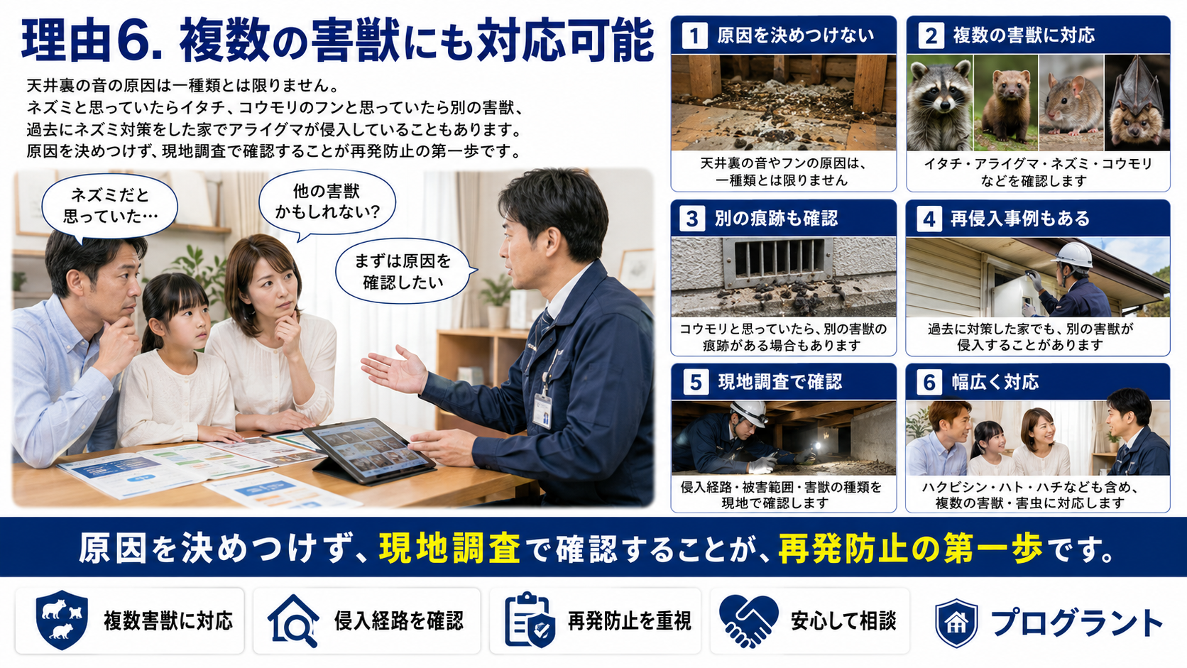 複数の害獣にも対応可能なプログラントの害獣駆除を紹介する写真解説画像。ネズミ、イタチ、アライグマ、コウモリ、ハクビシン、ハト、ハチなど複数の害獣・害虫に対応し、現地調査で原因確認と再発防止を行う内容を解説
