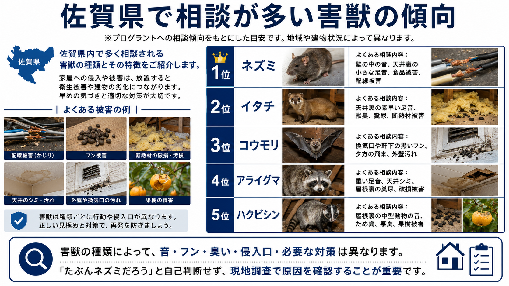 佐賀県で相談が多い害獣の傾向を解説する写真付き画像。ネズミ、イタチ、コウモリ、アライグマ、ハクビシンの順位と、音・フン・臭い・侵入口・被害内容の違いを分かりやすく紹介