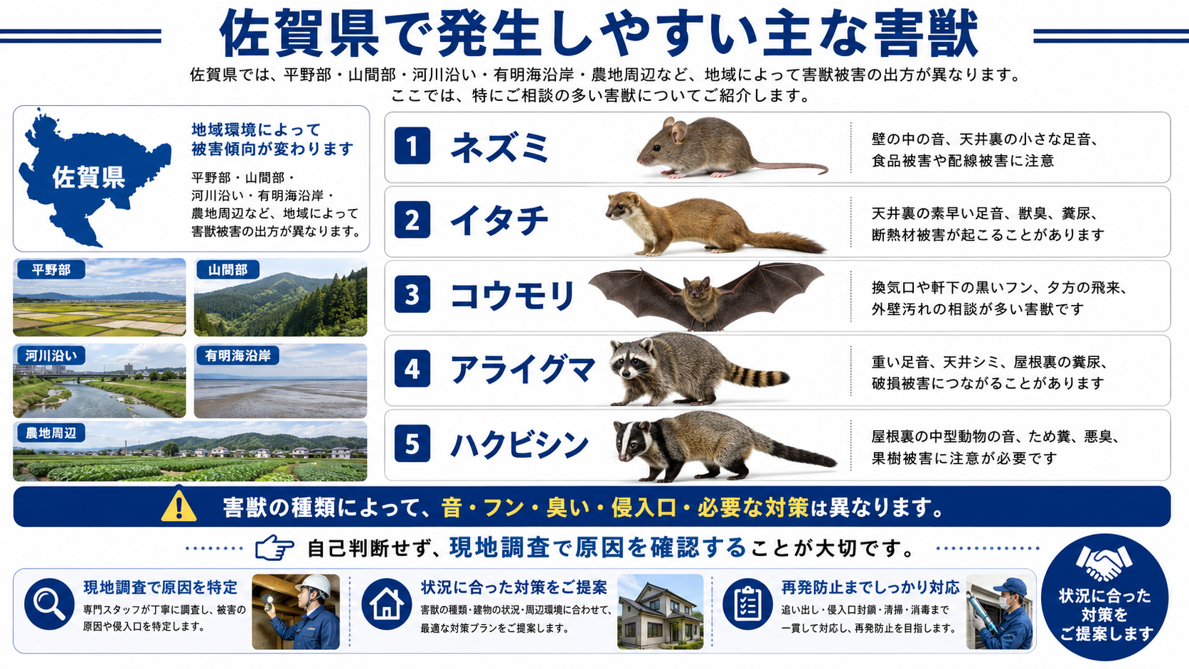 佐賀県で発生しやすい主な害獣を紹介する写真解説画像。平野部・山間部・河川沿い・有明海沿岸・農地周辺など地域環境ごとの被害傾向と、ネズミ・イタチ・コウモリ・アライグマ・ハクビシンの特徴を解説