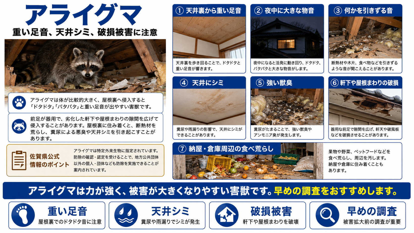 アライグマによる害獣被害を解説する写真付き画像。重い足音、夜中の大きな物音、天井シミ、強い獣臭、軒下や屋根まわりの破損、納屋や倉庫周辺の食べ荒らしなど、佐賀県で注意したい症状を紹介