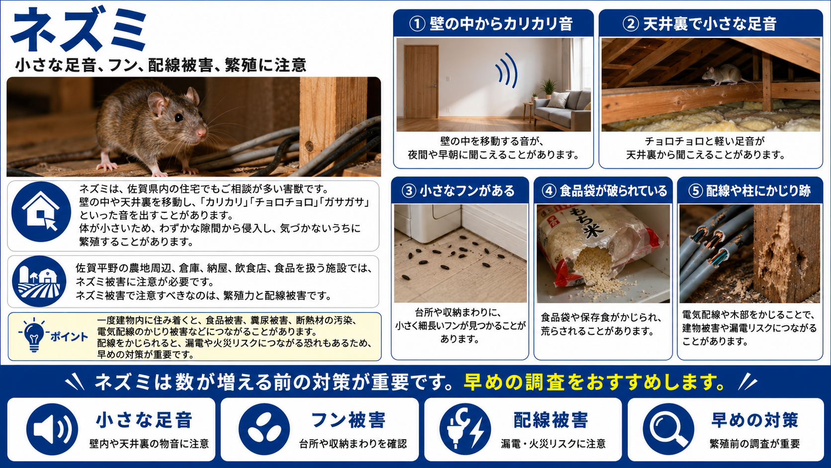 ネズミによる害獣被害を解説する写真付き画像。壁の中のカリカリ音、天井裏の小さな足音、小さなフン、食品袋の破れ、配線や柱のかじり跡など、佐賀県で注意したい症状を紹介
