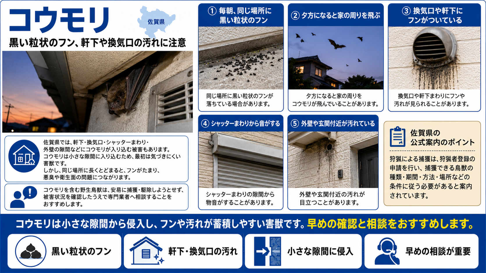 佐賀県の害獣駆除ならプログラント|天井裏・屋根裏・床下の被害を再発予防まで徹底対策