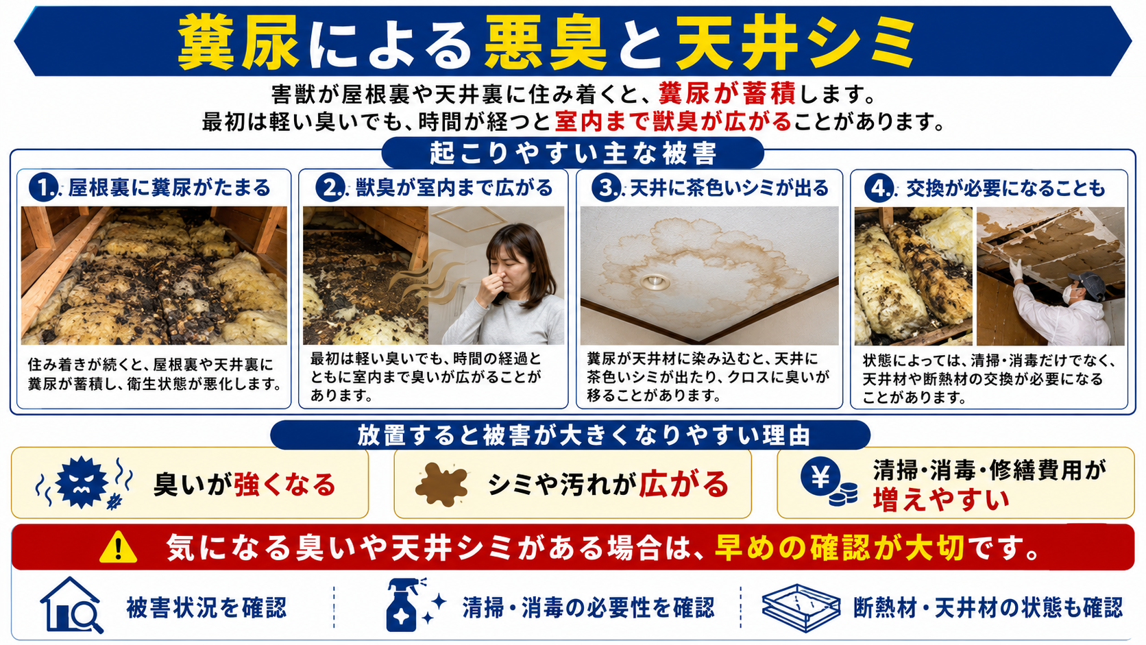 屋根裏や天井裏に住み着いた害獣の糞尿が原因で起こる悪臭、天井シミ、断熱材汚染、清掃・消毒・交換対応を解説した画像