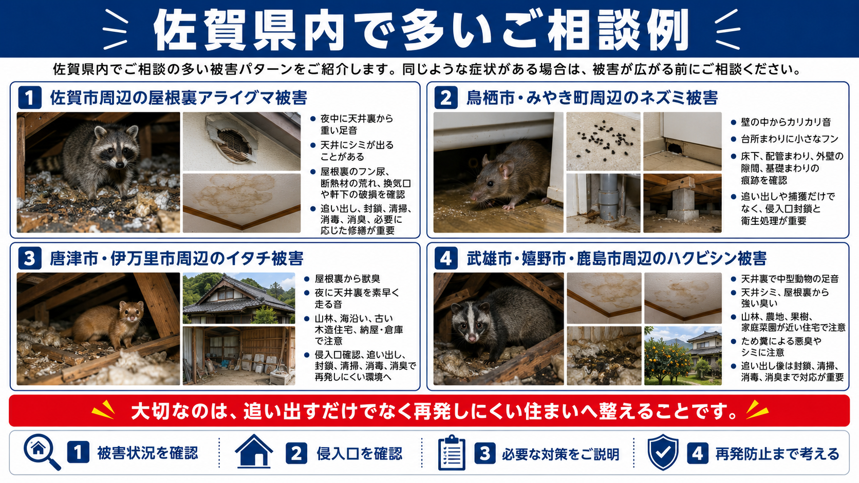 佐賀県の害獣駆除相談例として、屋根裏アライグマ被害、ネズミ被害、イタチ被害、ハクビシン被害の症状と対策を地域別に解説した画像