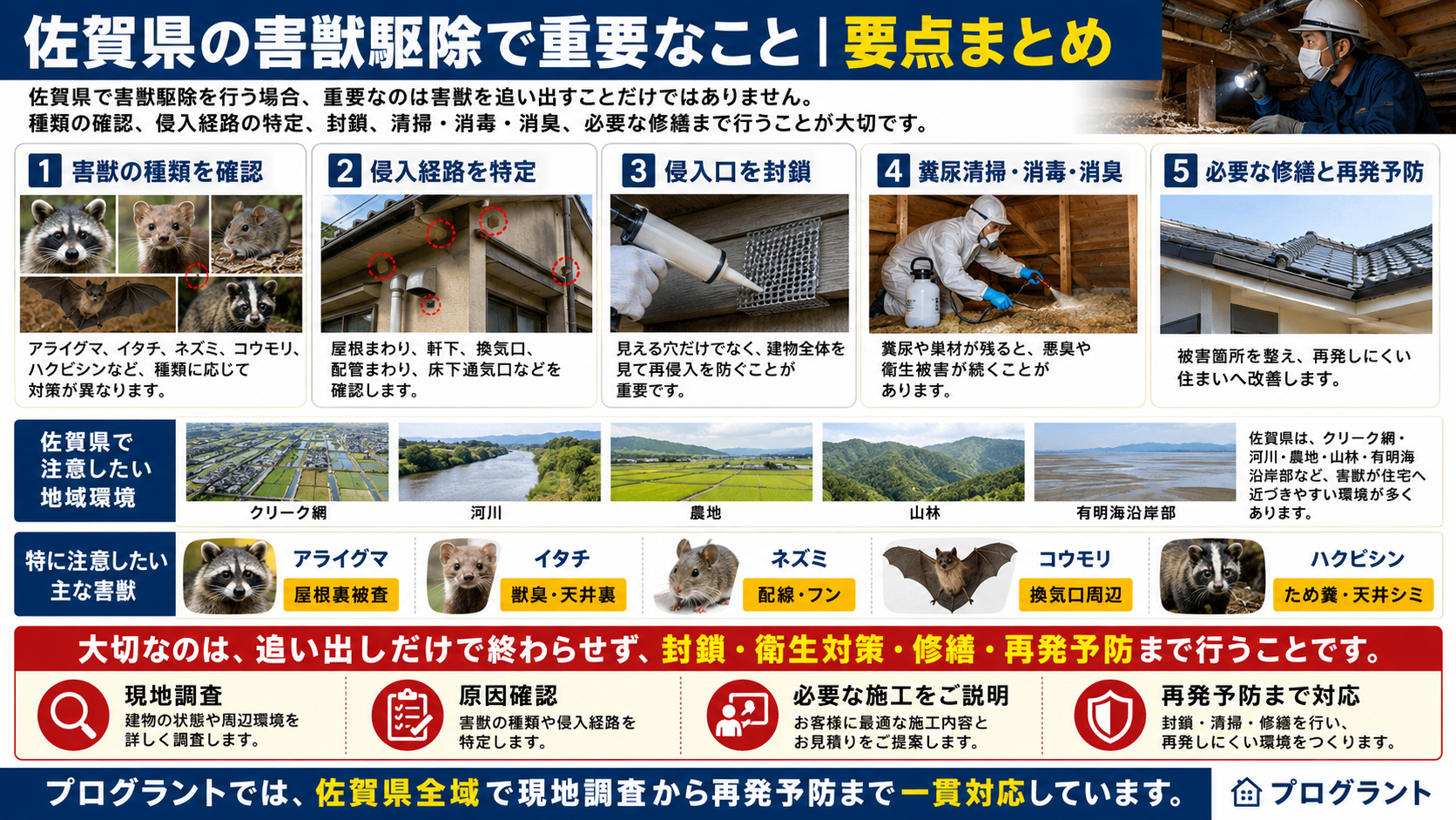 佐賀県の害獣駆除要点まとめとして、アライグマ・イタチ・ネズミ・コウモリ・ハクビシンの確認、侵入口封鎖、清掃消毒消臭、修繕、再発予防とクリーク網・河川・農地・山林・有明海沿岸部の地域環境を解説した画像