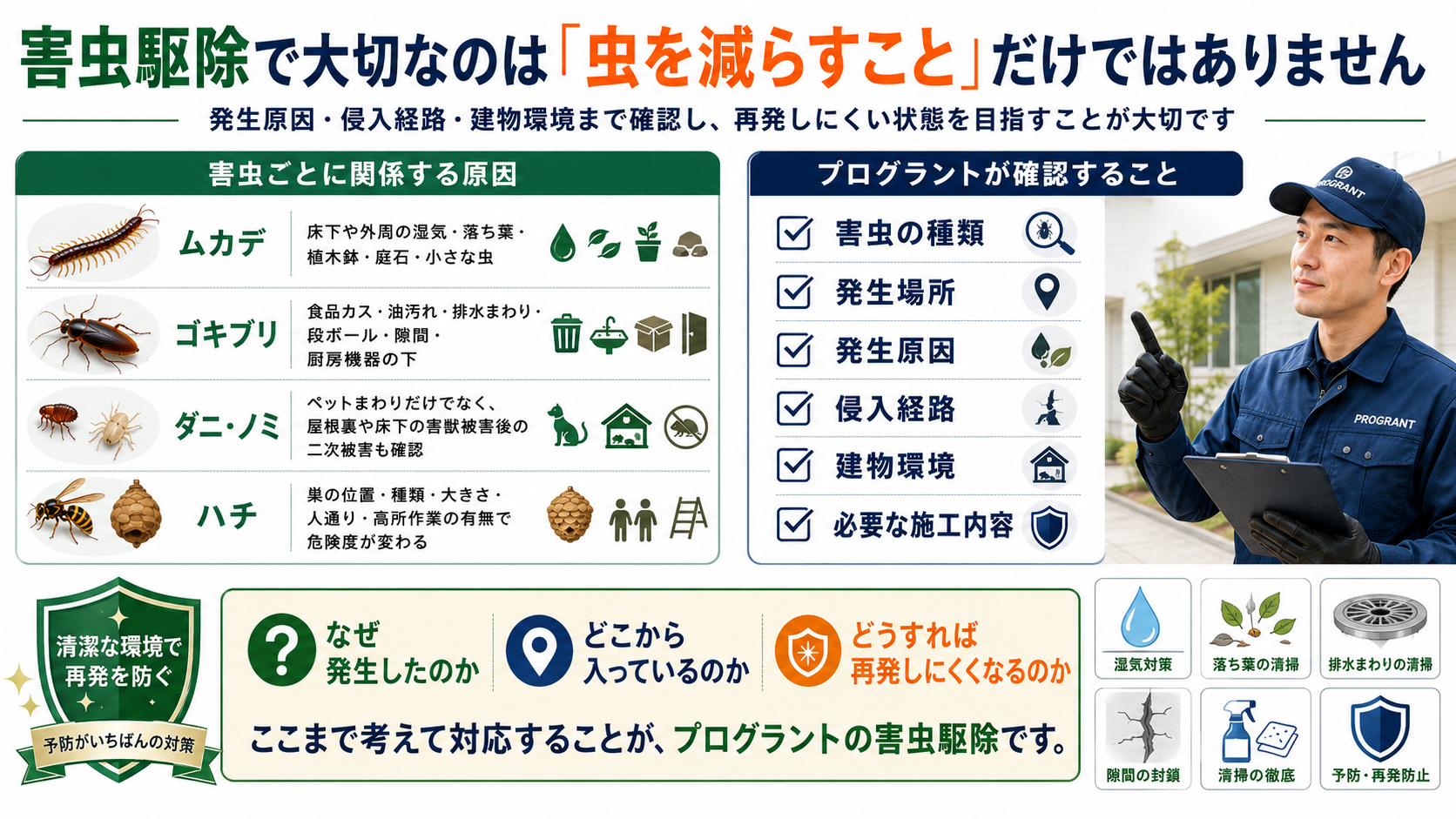熊本・佐賀・福岡の害虫駆除で、ムカデ・ゴキブリ・ダニ・ノミ・ハチの発生原因調査・侵入経路確認・清掃・湿気対策・再発予防を案内する画像