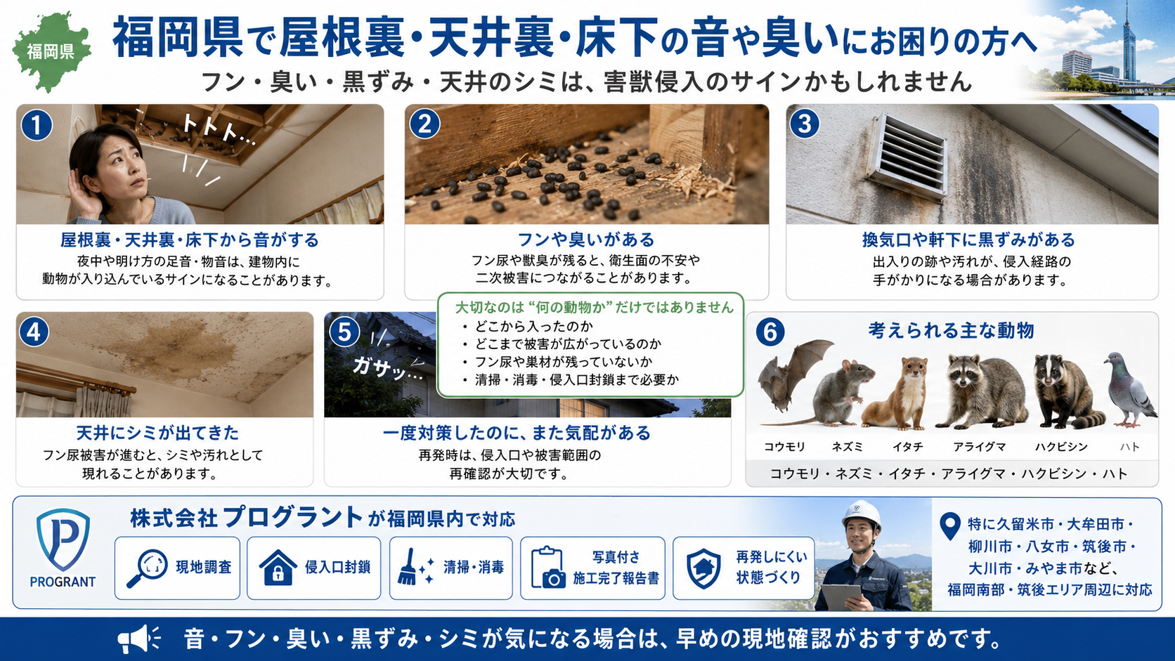 福岡県で屋根裏・天井裏・床下の音やフン、臭い、黒ずみ、天井シミなど害獣侵入サインと対策を解説する画像