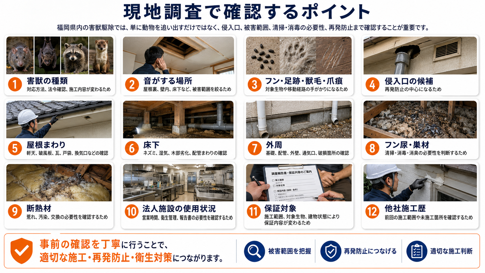 福岡県内の害獣駆除における現地調査で、害獣の種類、音の場所、フン・足跡・獣毛・爪痕、侵入口、屋根まわり、床下、外周、フン尿・巣材、断熱材、法人施設の使用状況、保証対象、他社施工歴を確認するポイントを写真付きで解説した画像