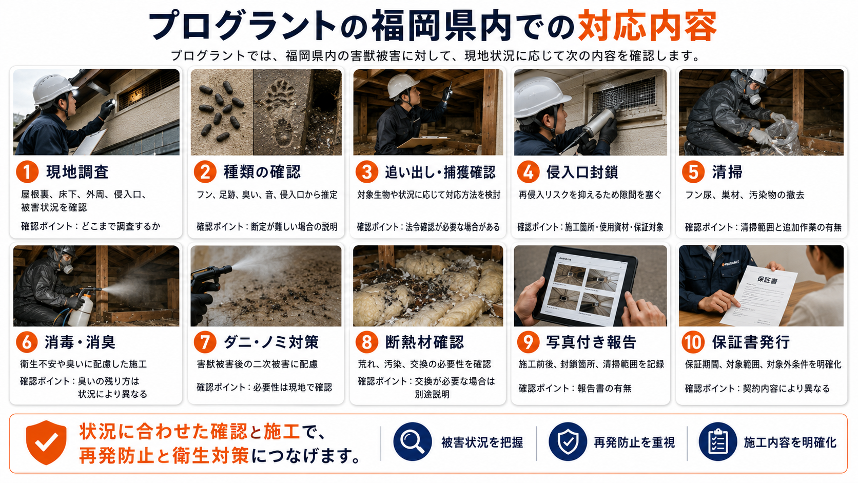 プログラントの福岡県内での害獣対応内容として、現地調査、種類の確認、追い出し・捕獲確認、侵入口封鎖、清掃、消毒・消臭、ダニ・ノミ対策、断熱材確認、写真付き報告、保証書発行までを写真付きで解説した画像