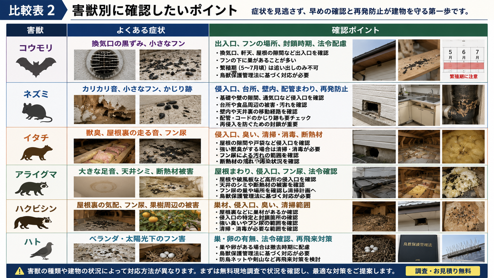 害獣別に確認したいポイントとして、コウモリ、ネズミ、イタチ、アライグマ、ハクビシン、ハトのよくある症状と侵入口・フン・臭い・法令確認・再発防止の確認点を写真付きで比較した画像