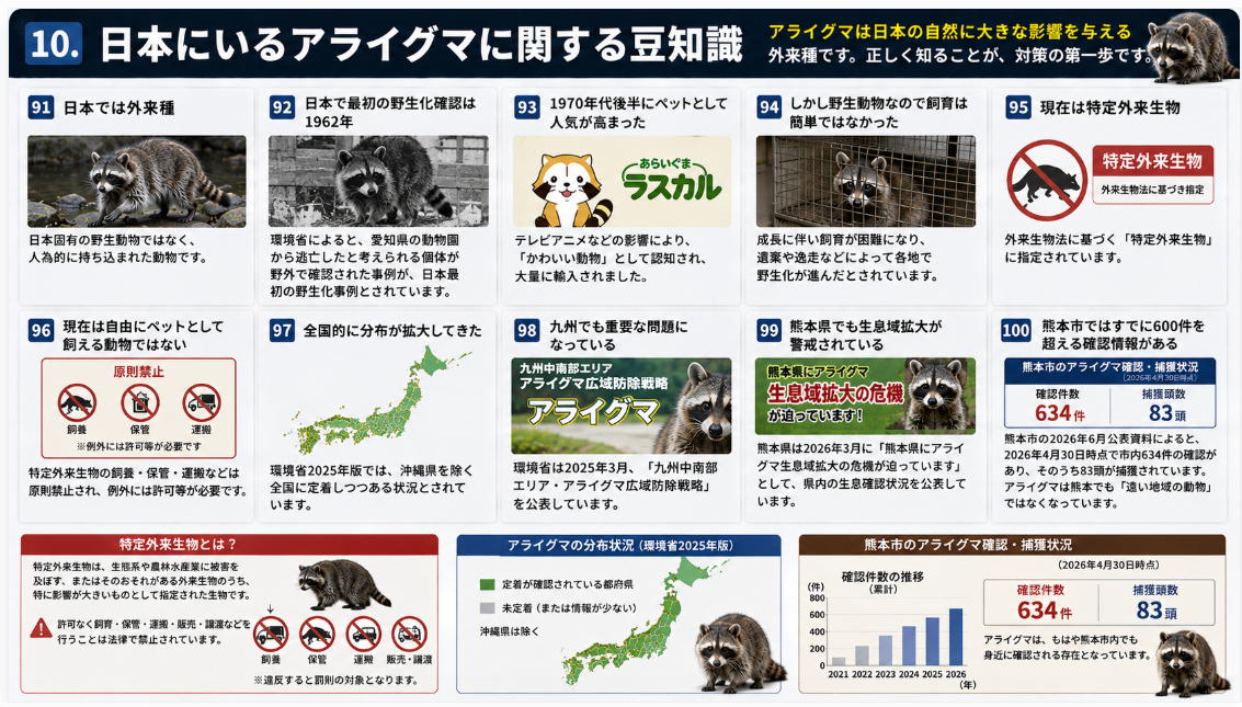 日本にいるアライグマの外来種としての歴史や分布拡大、特定外来生物の規制、九州・熊本県での生息状況、熊本市の確認件数と捕獲状況を写真や地図で解説