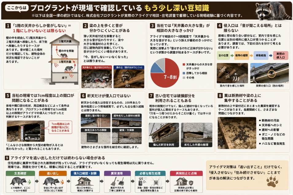 プログラントがアライグマの住宅調査で確認している現場事例を解説。天井裏の足音、壁内移動、侵入口、7cm程度の隙間、軒天や破損部からの侵入、糞尿・断熱材汚染、追い出し後の封鎖・清掃・衛生処理までをまとめた