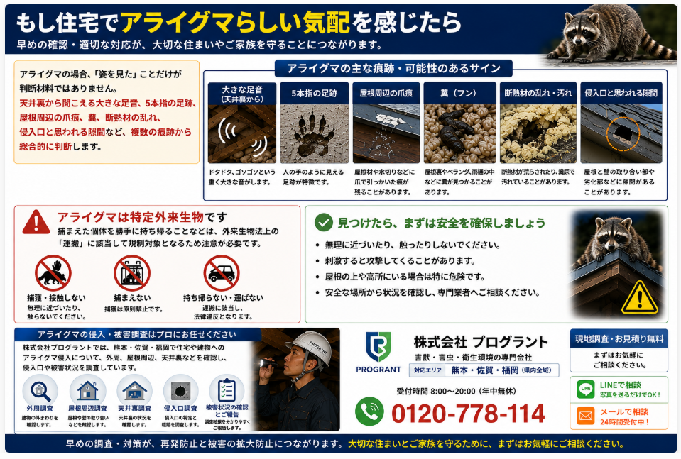 住宅でアライグマの気配を感じたときの確認ポイントを写真付きで解説。天井裏の大きな足音、5本指の足跡、屋根周辺の爪痕、糞、断熱材の乱れ、侵入口の隙間、安全確認、専門業者による調査までをまとめた