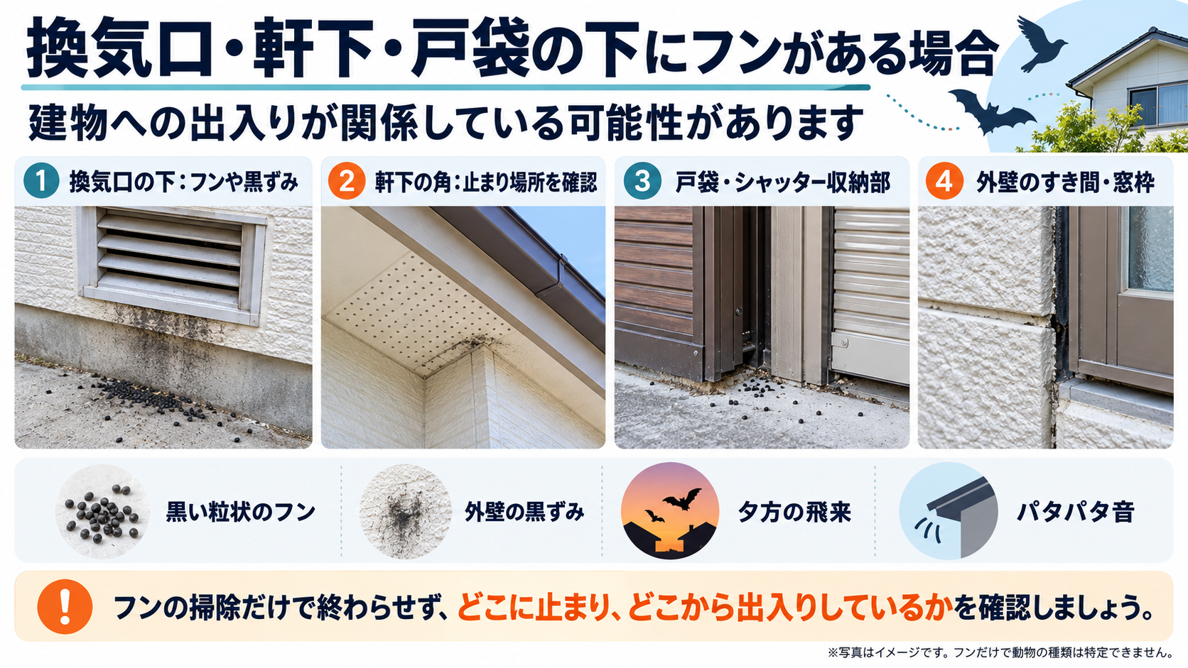 換気口、軒下、戸袋・シャッター収納部、外壁や窓枠のすき間を写真例で示し、フンや黒ずみなどの確認点と、動物の止まり場所・出入り口を調べる大切さを解説した図。