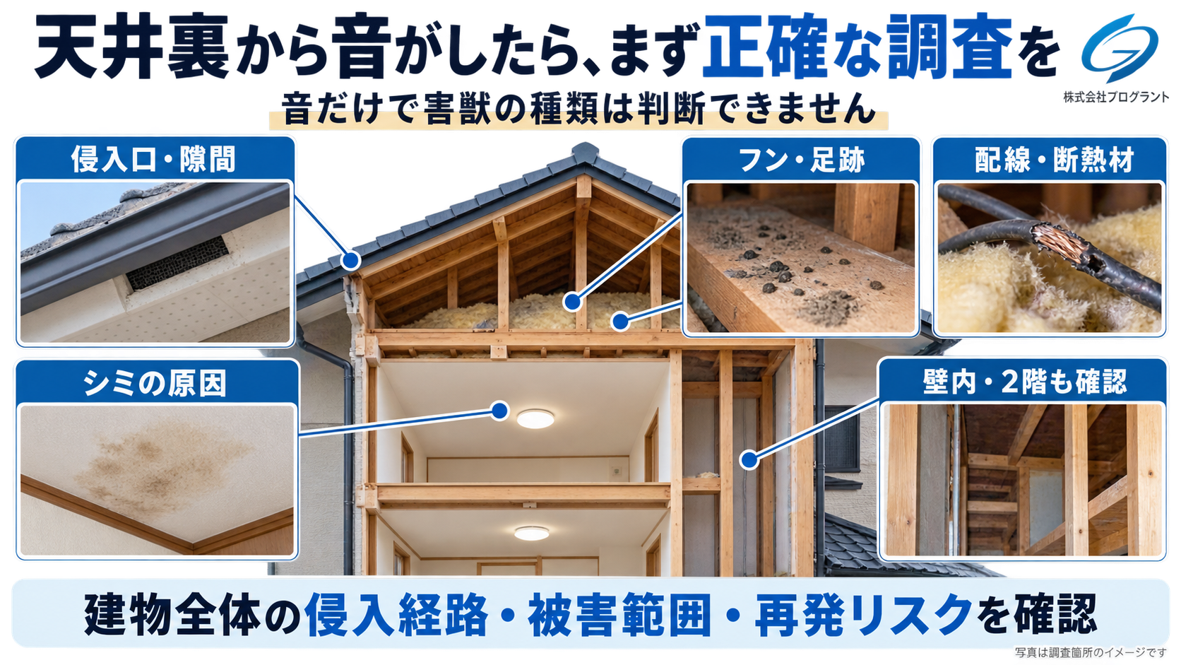 天井裏から音がする場合の調査ポイント。住宅の断面図と写真で、侵入口、フンや足跡、配線・断熱材、天井のシミ、壁内・2階天井裏の確認箇所を示した画像。