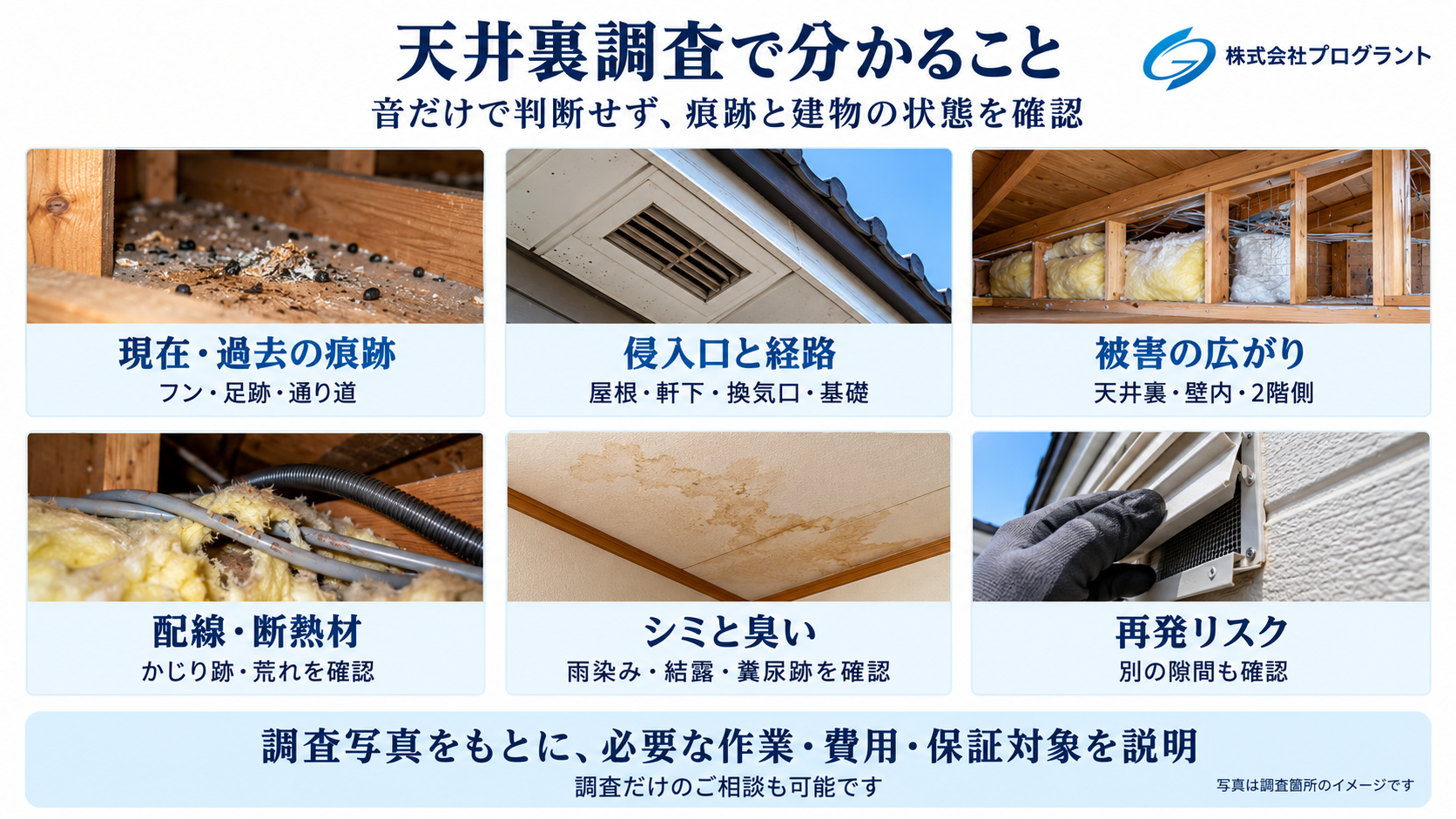 天井裏調査で確認する項目を写真で解説した画像。フンや足跡などの痕跡、侵入口、被害範囲、配線・断熱材の損傷、シミや臭い、再発につながる隙間を示しています。
