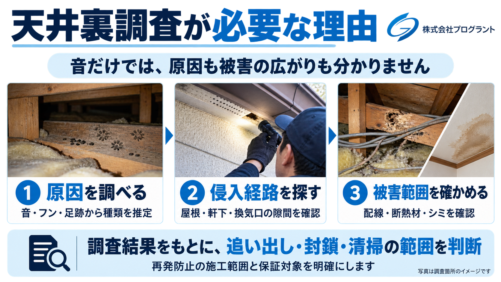 天井裏調査が必要な理由を写真で解説した画像。フンや足跡など原因の手がかり、軒下の侵入経路、配線・断熱材・天井のシミを確認し、必要な施工範囲を判断する流れを示しています。