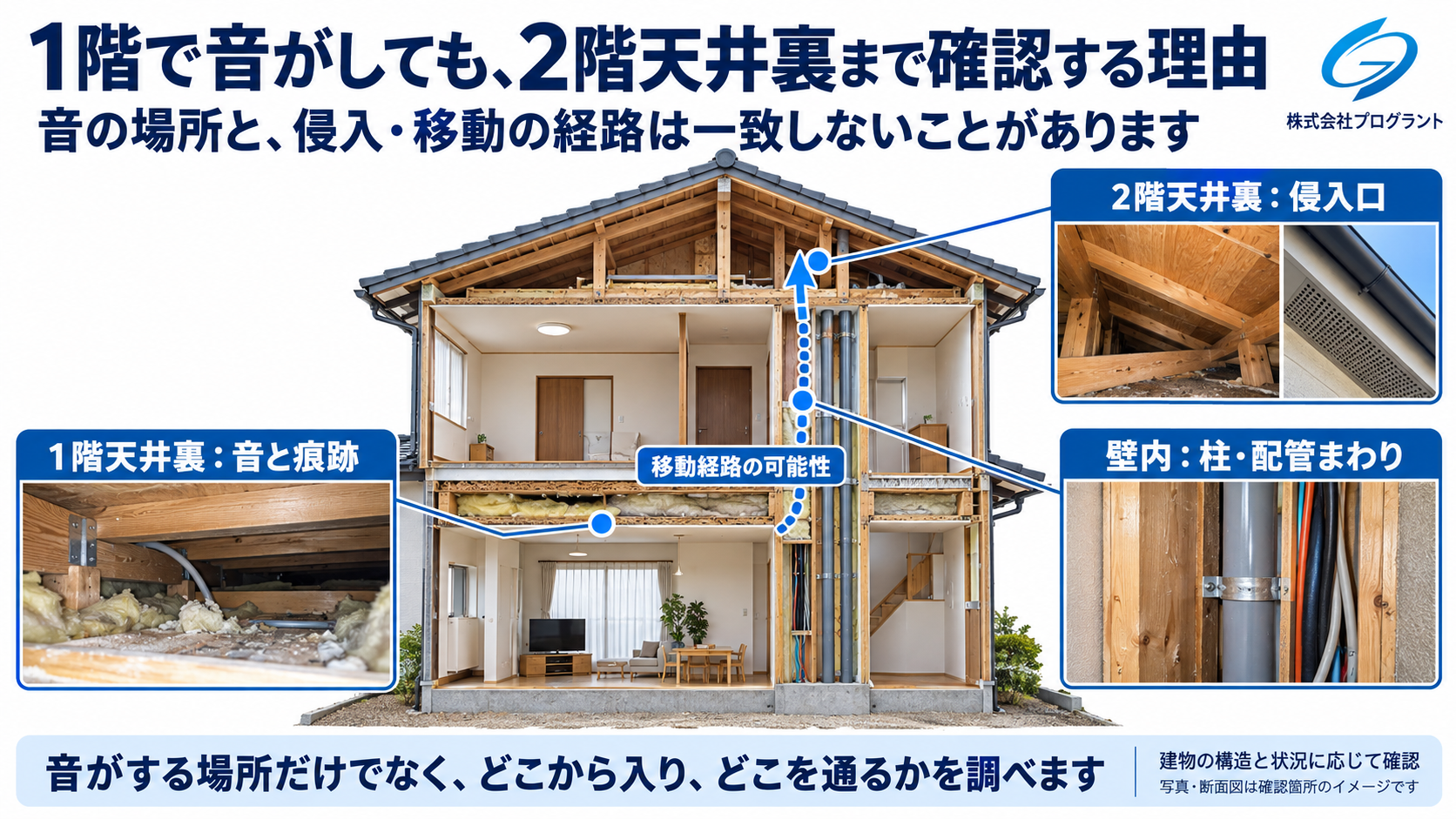 1階の天井裏で音がする場合に2階天井裏まで確認する理由を示した住宅断面図。1階天井裏、柱・配管まわりの壁内、2階天井裏と軒下の確認箇所を写真付きで解説。