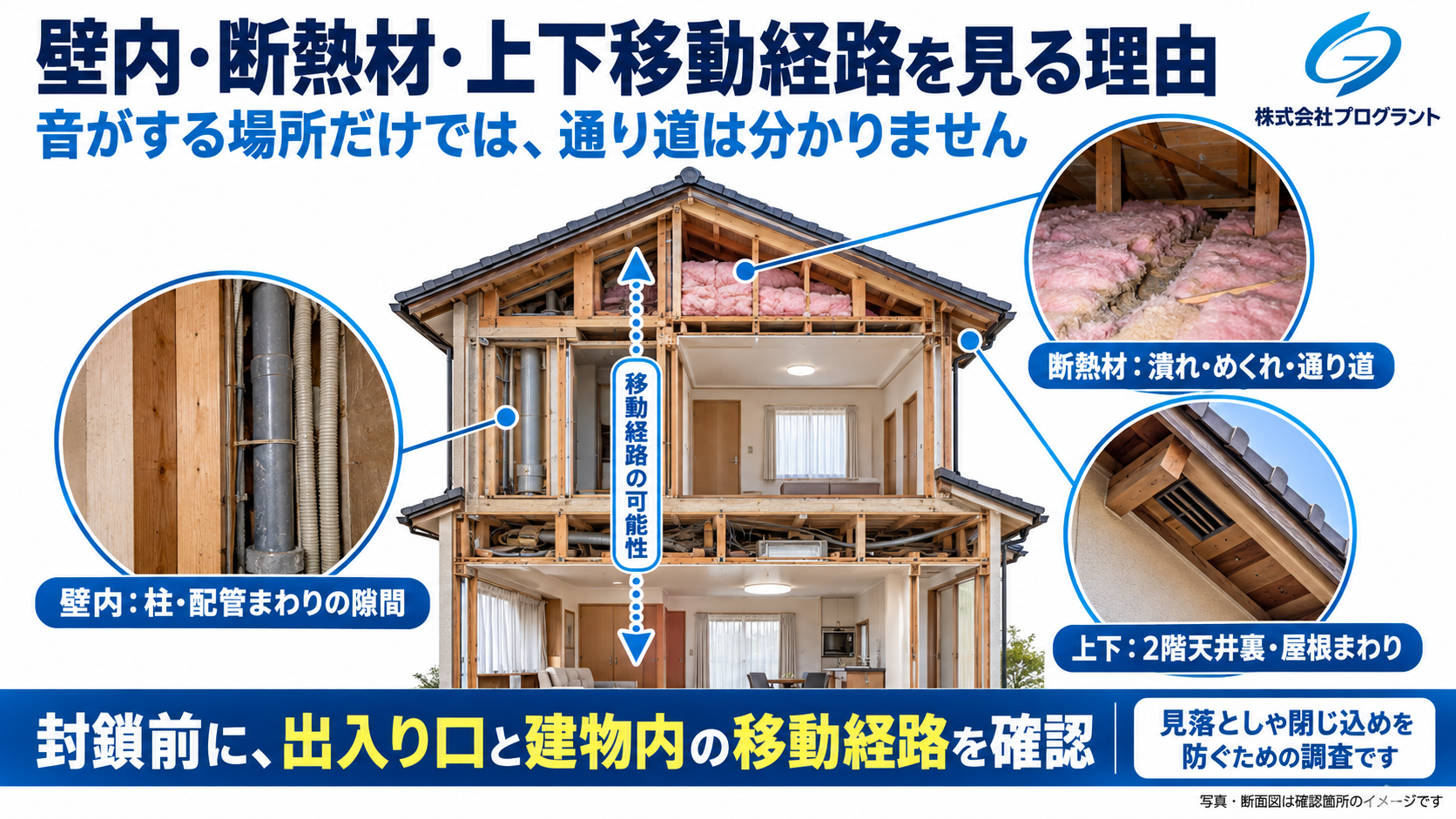 害獣の上下移動経路を確認する理由を示した住宅断面図。壁内の柱・配管まわりの隙間、乱れた断熱材、2階天井裏と屋根まわりの確認箇所を写真付きで解説。