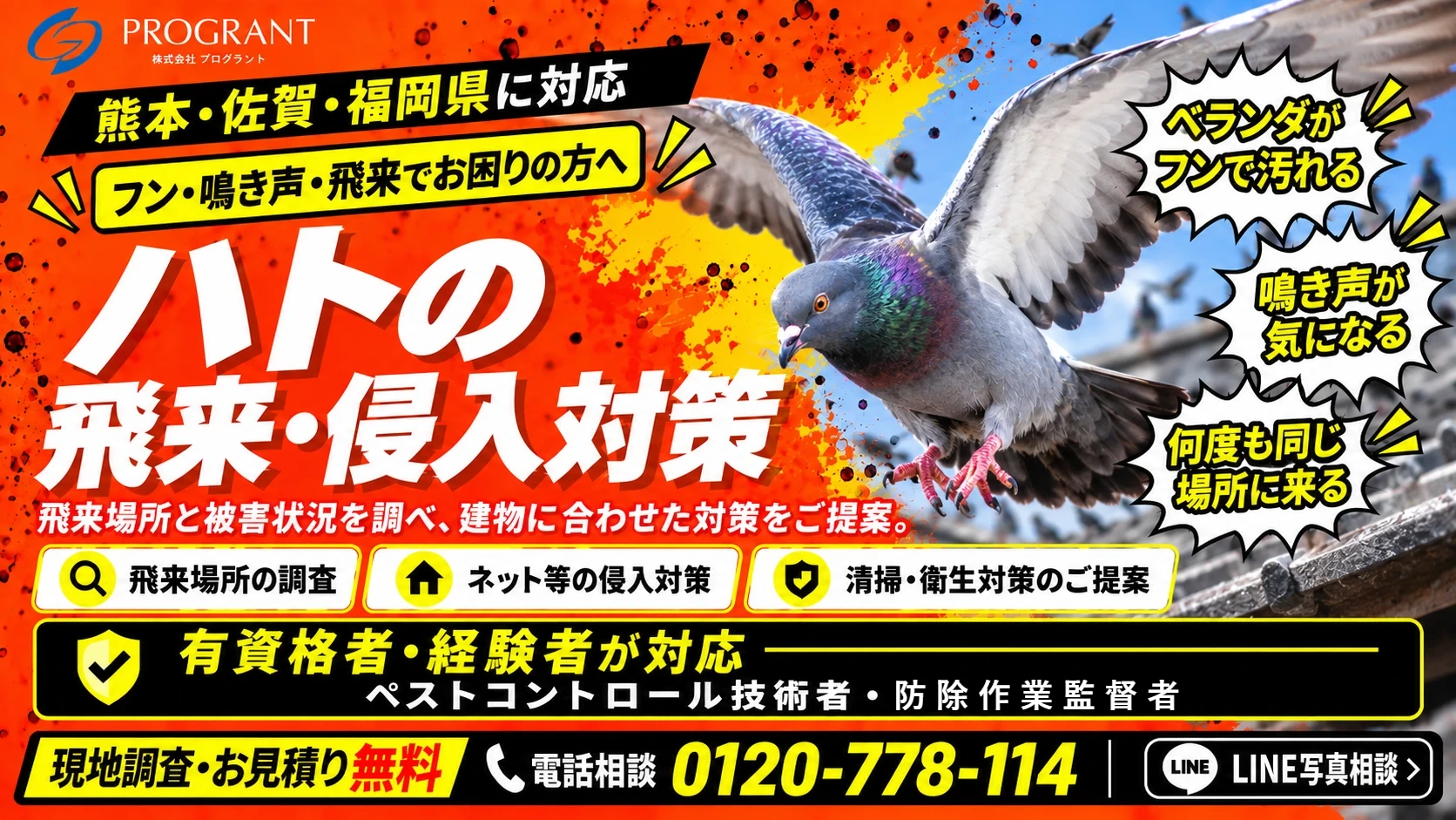 熊本・佐賀・福岡県に対応 フン・鳴き声・飛来でお困りの方へ ハトの飛来・侵入対策 有資格者・経験者が対応 現地調査・お見積り無料 電話相談 0120-778-114