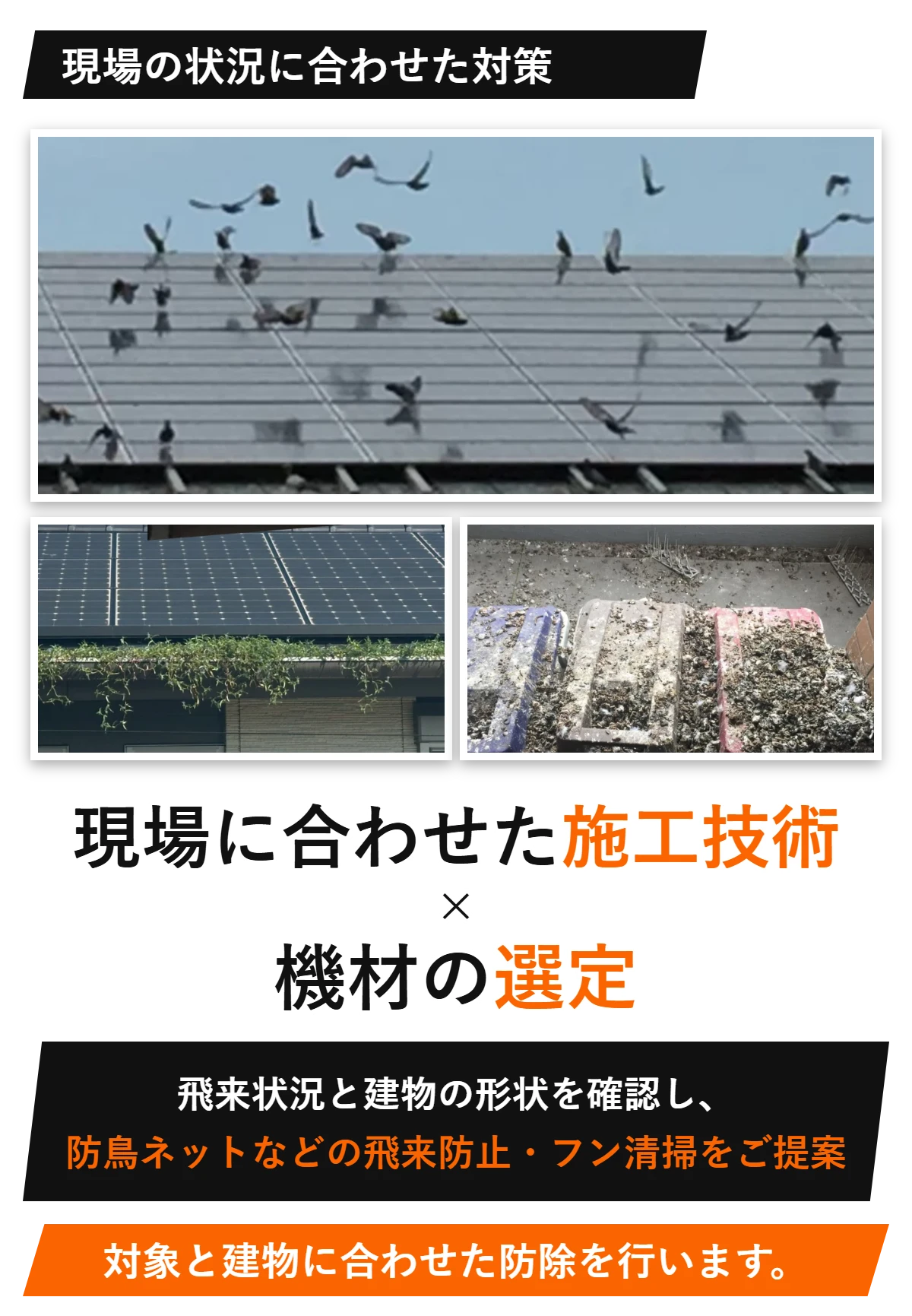 現場の状況に合わせた対策 現場に合わせた施工技術×機材の選定 飛来状況と建物の形状を確認し、防鳥ネットなどの飛来防止・フン清掃をご提案 対象と建物に合わせた防除を行います。