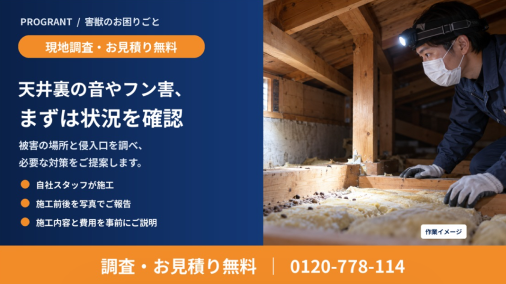 天井裏の音やフン害、まずは状況を確認：被害の場所と侵入口を調べ、必要な対策をご提案（調査・お見積り無料 0120-778-114）
