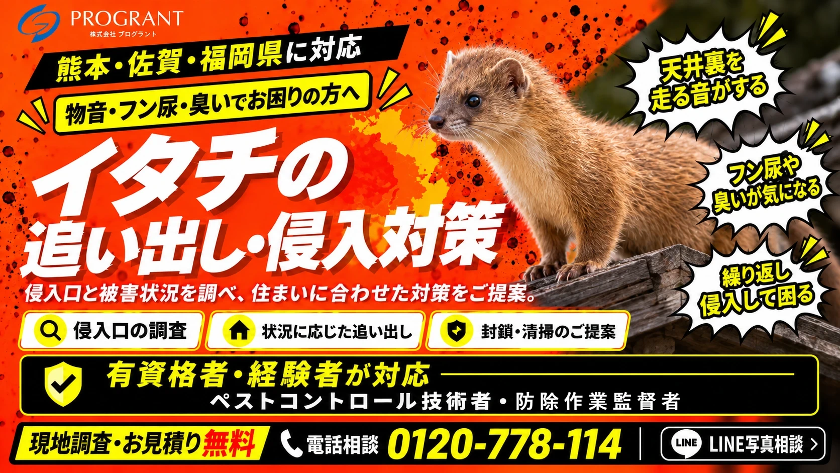 熊本・佐賀・福岡県南部に対応 物音・フン尿・臭いでお困りの方へ イタチの追い出し・侵入対策 有資格者・経験者が対応 現地調査・お見積り無料 電話相談 0120-778-114