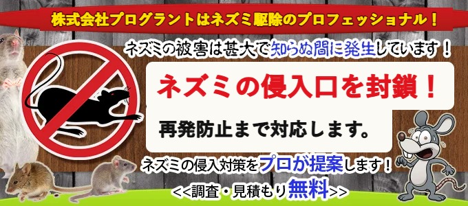 ネズミ駆除の案内バナー：株式会社プログラントがネズミの侵入口を封鎖し、再発防止まで対応（調査・見積り無料）