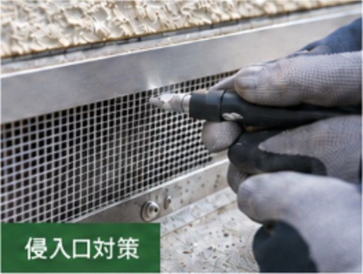 侵入口に金網を取り付けて封鎖する作業(侵入口対策)