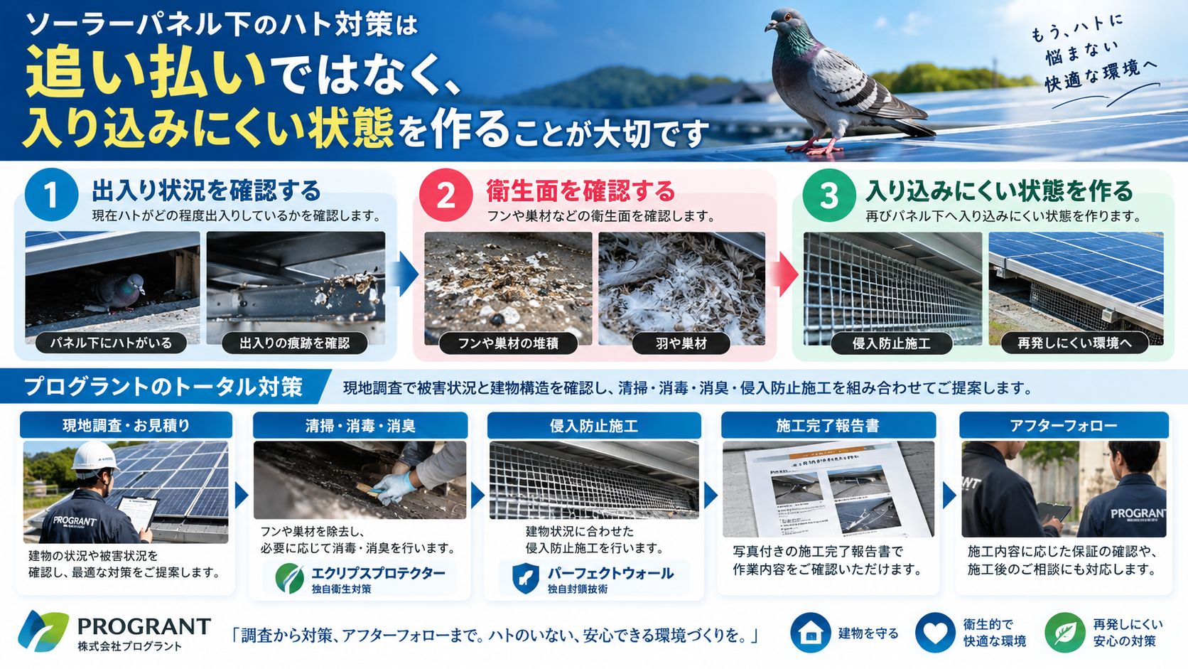 ソーラーパネル下のハト対策を写真付きで解説。ハトの出入り状況、フン・巣材の確認、清掃・消毒・消臭、侵入防止施工、写真付き施工完了報告、再飛来防止のポイントを紹介。