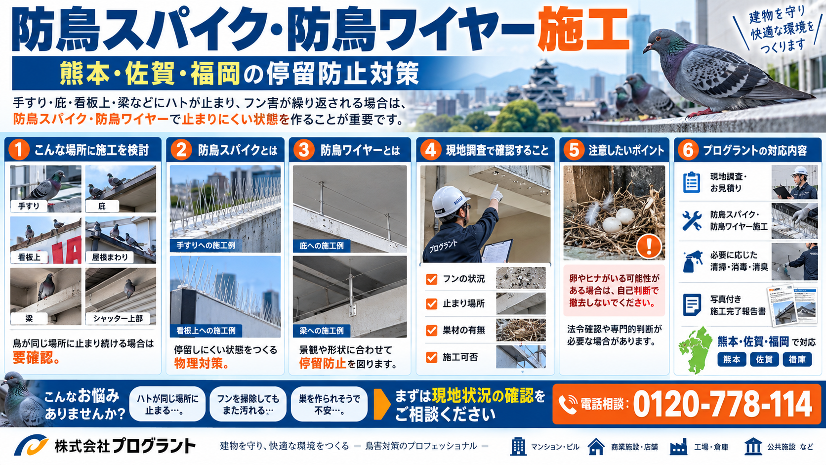 熊本・佐賀・福岡の防鳥スパイク・防鳥ワイヤー施工を写真付きで解説。ハトの停留場所、手すり・庇・看板・梁への施工例、現地調査、フン害対策、施工時の注意点を紹介。