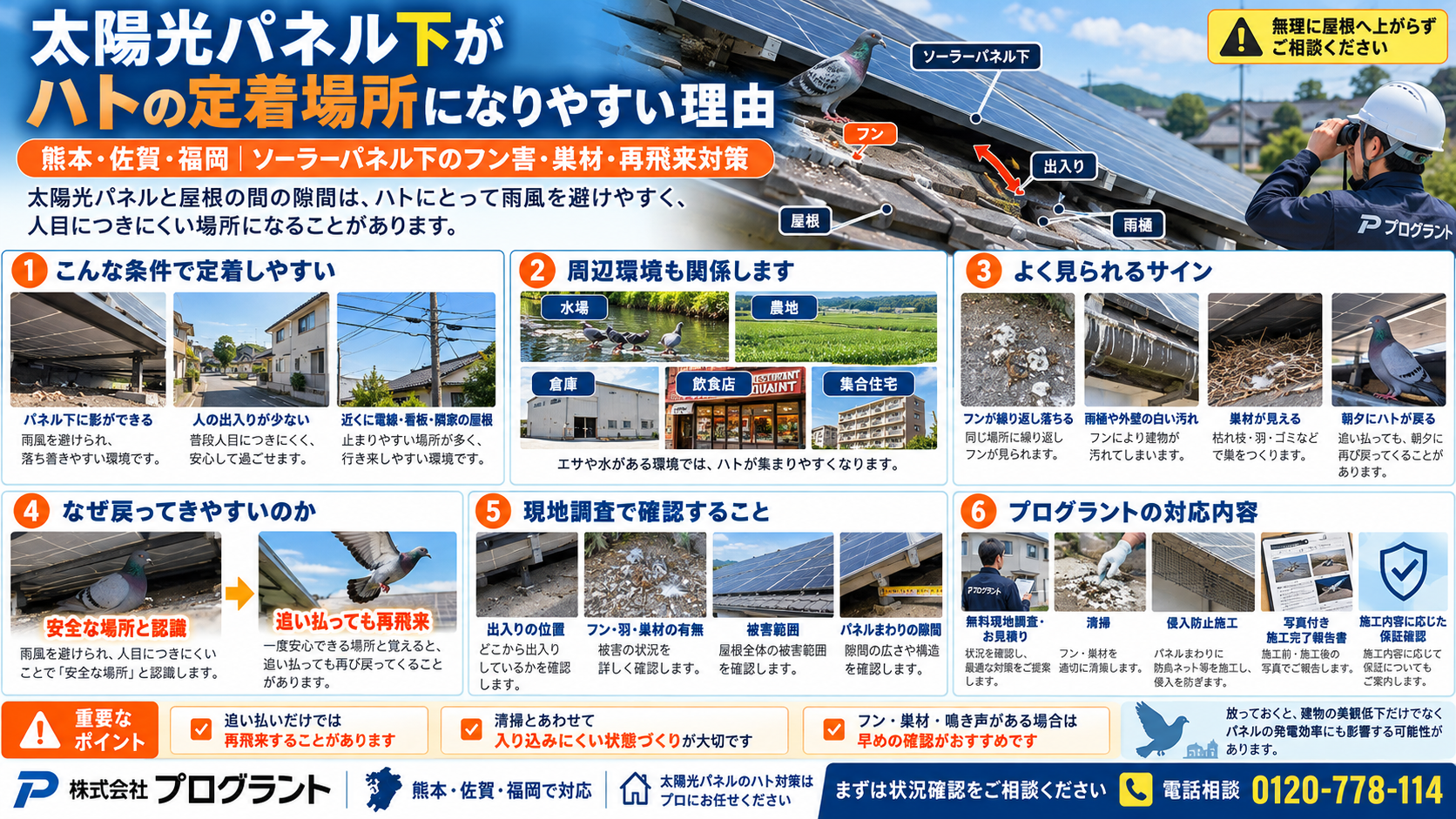 太陽光パネル下がハトの定着場所になりやすい理由を写真付きで解説。雨風を避けられる隙間、周辺環境、フン害・巣材・再飛来のサイン、現地調査と侵入防止対策のポイントを紹介。