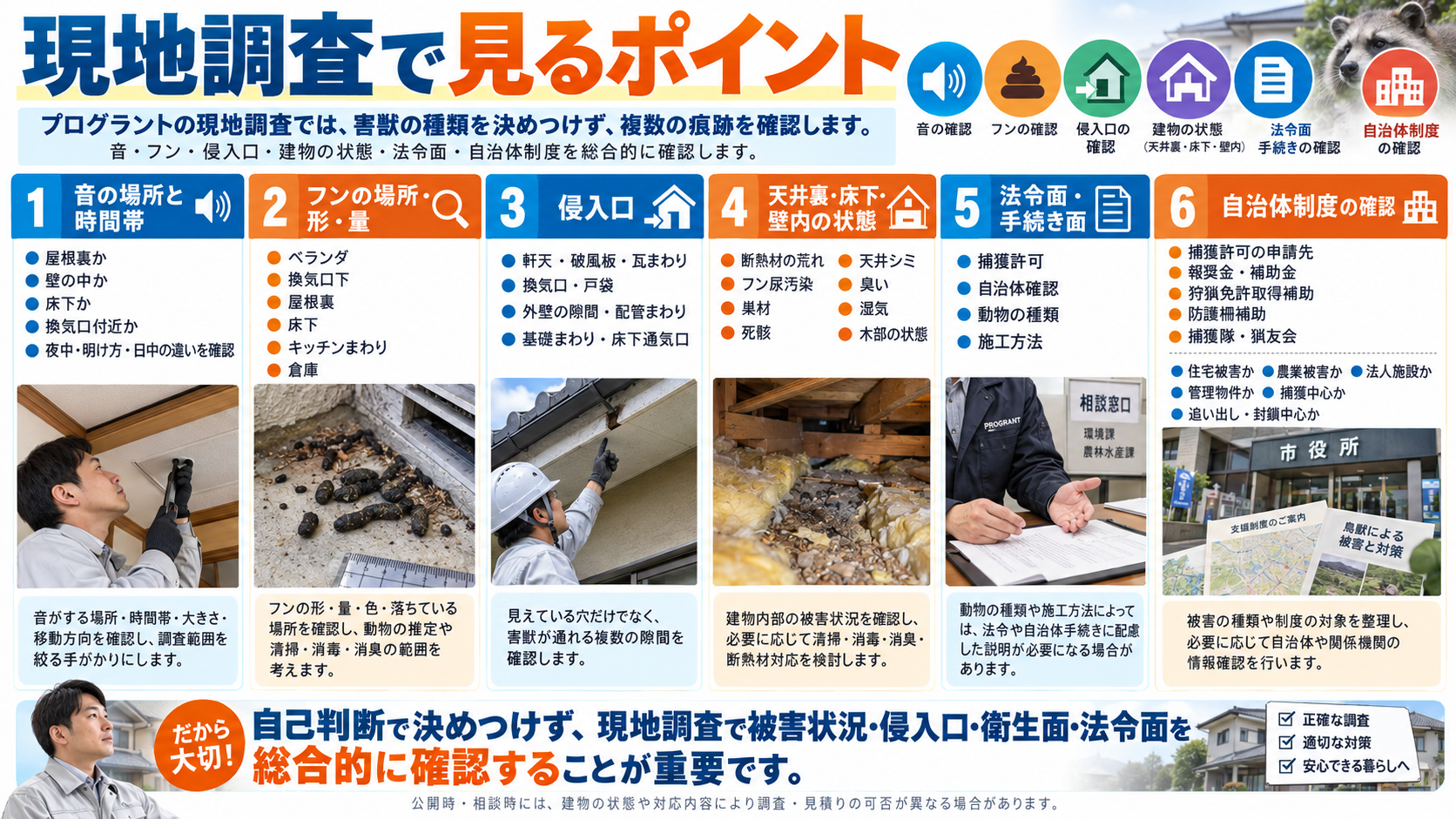 害獣の現地調査で確認する音の場所・フン・侵入口・天井裏や床下の状態・法令手続き・自治体制度を写真付きで解説するインフォグラフィック