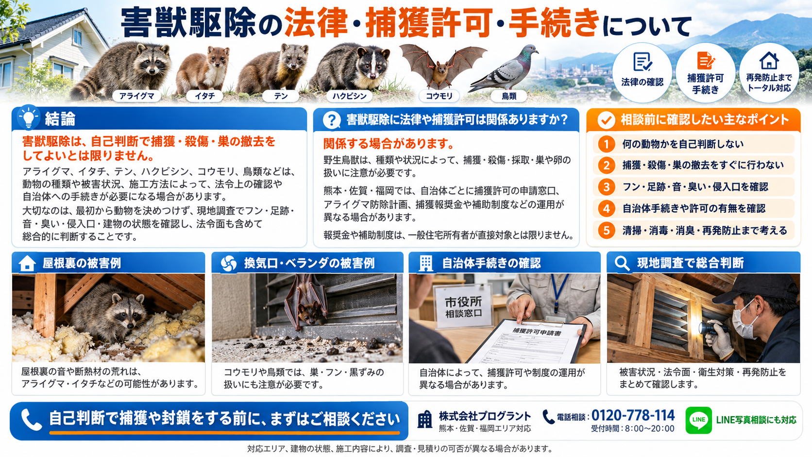 害獣駆除の法律・捕獲許可・自治体手続きの注意点を解説するインフォグラフィック｜アライグマ・イタチ・テン・ハクビシン・コウモリ・鳥類の被害例