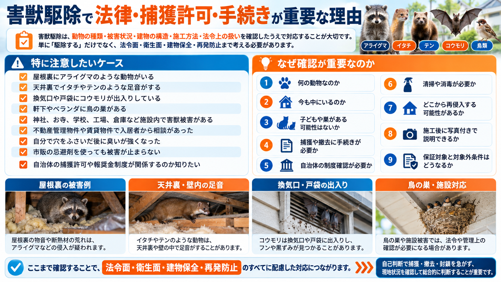 害獣駆除で法律・捕獲許可・自治体手続きが重要な理由を、アライグマ・イタチ・テン・コウモリ・鳥類の被害例とともに解説するインフォグラフィック